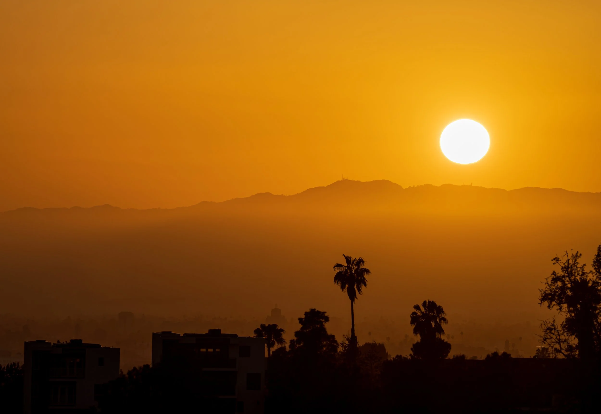 Elysianpark3-02788_PS.JPG