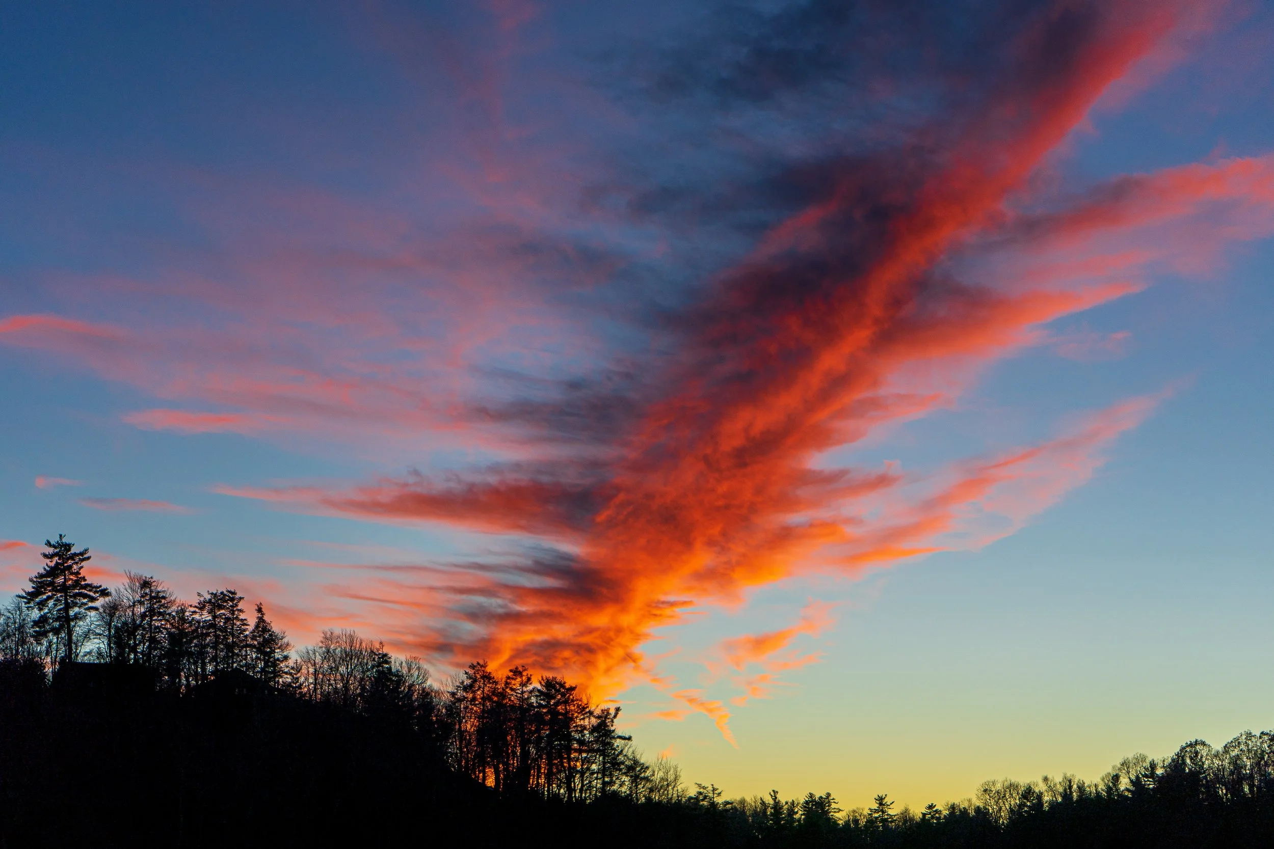 DSC08552.JPG