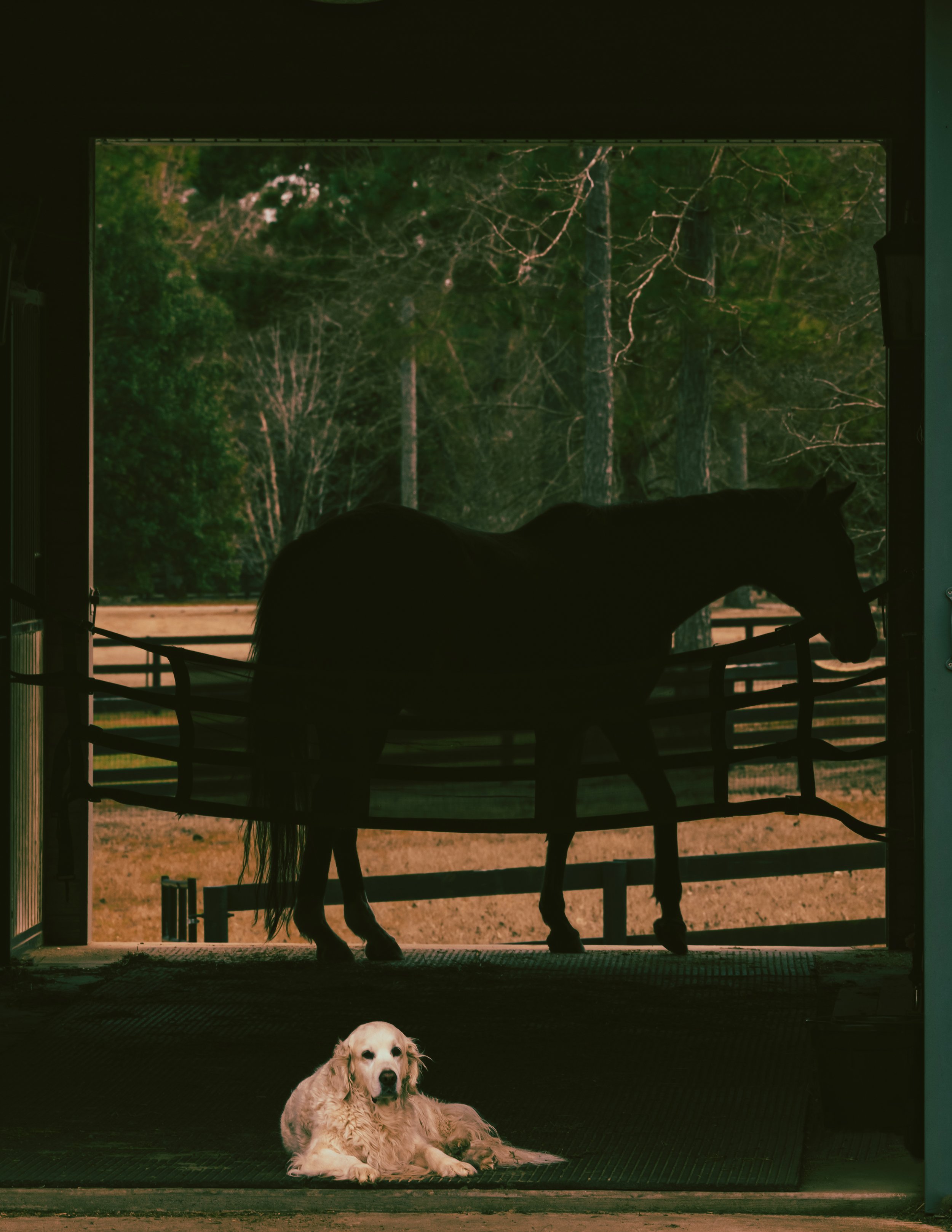2026_CarolinasFeb2026_70PS.JPG