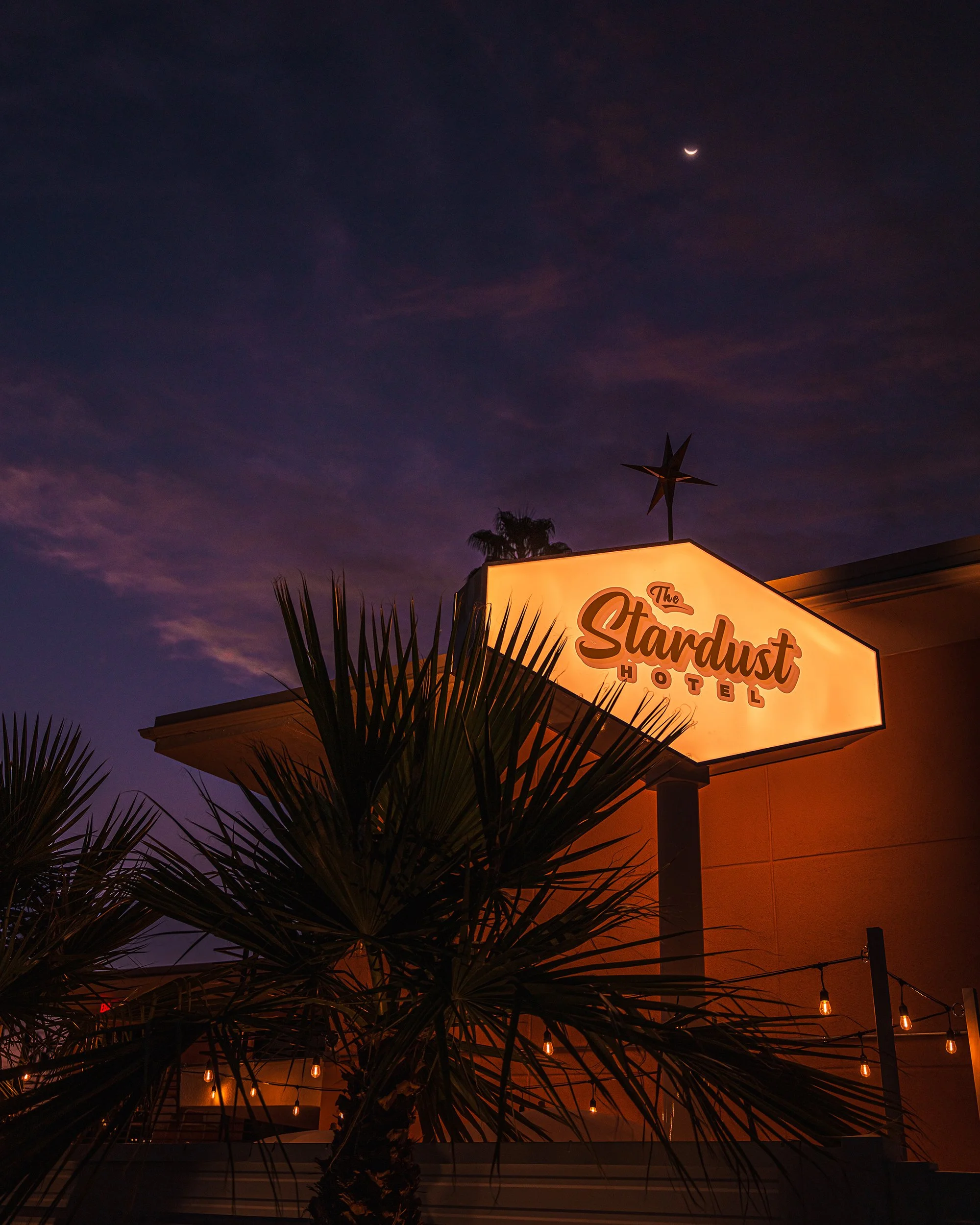 2025_9-14-25_JoshuaTree_24PS.jpg