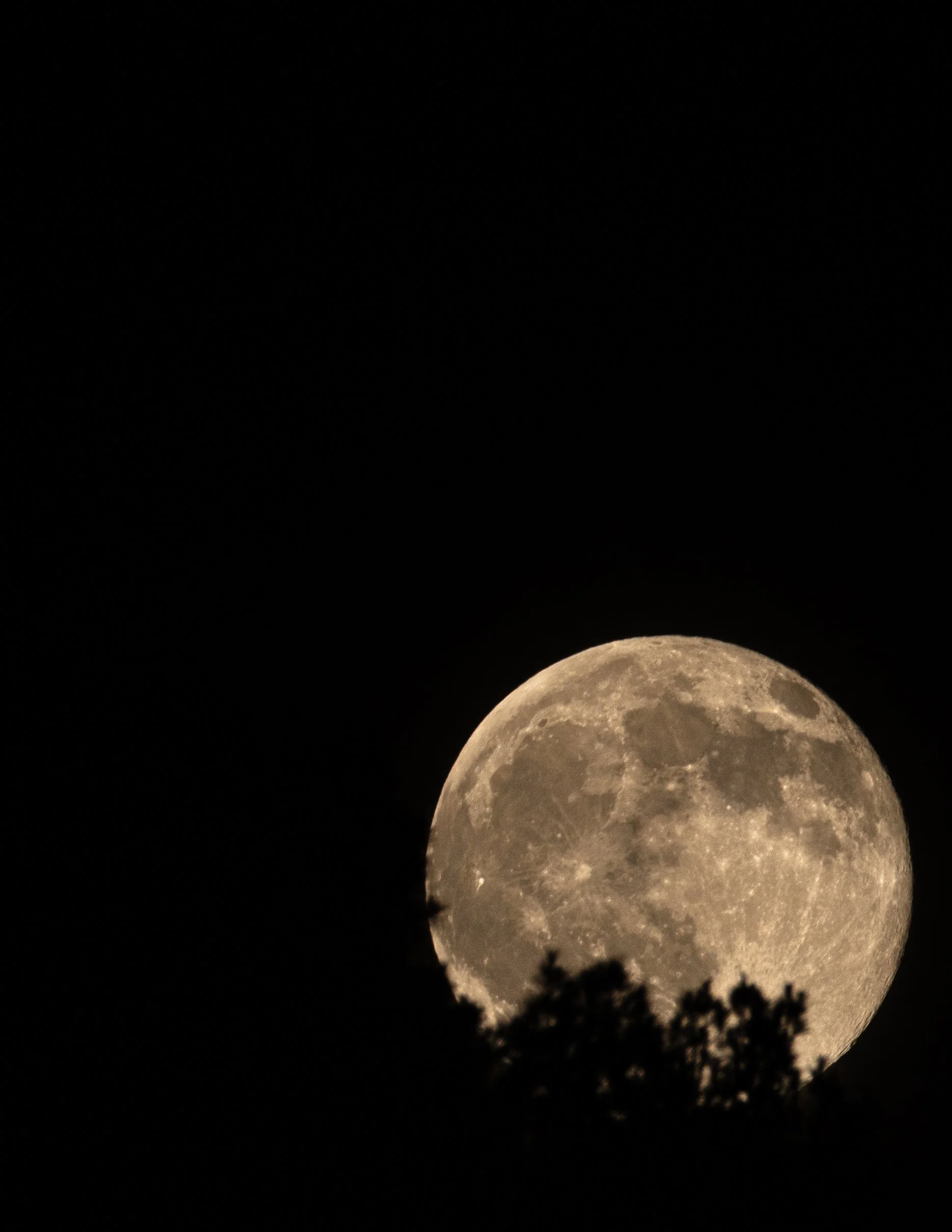 2026_HarvestMoonSunset_21.JPG