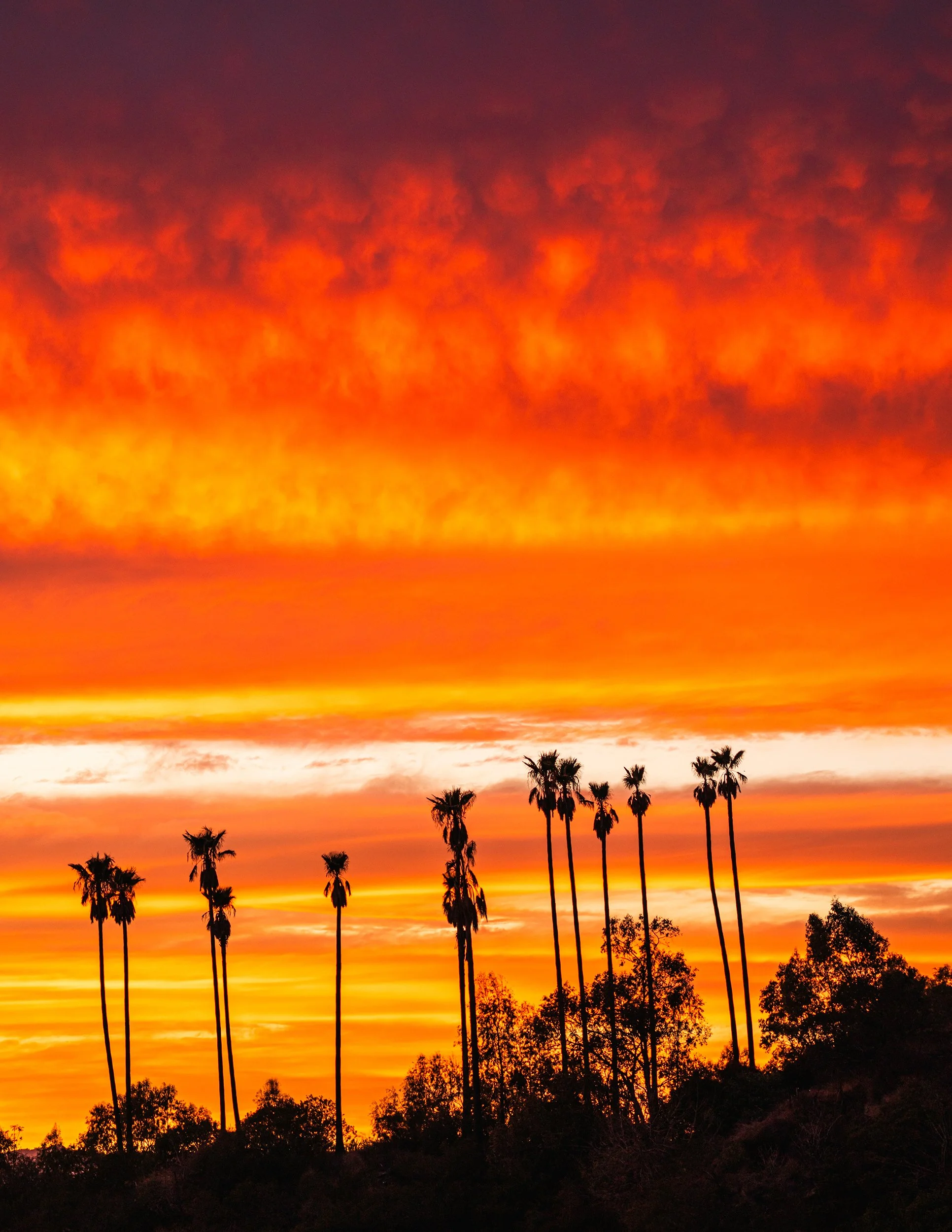 2026_HarvestMoonSunset_14PS.jpg