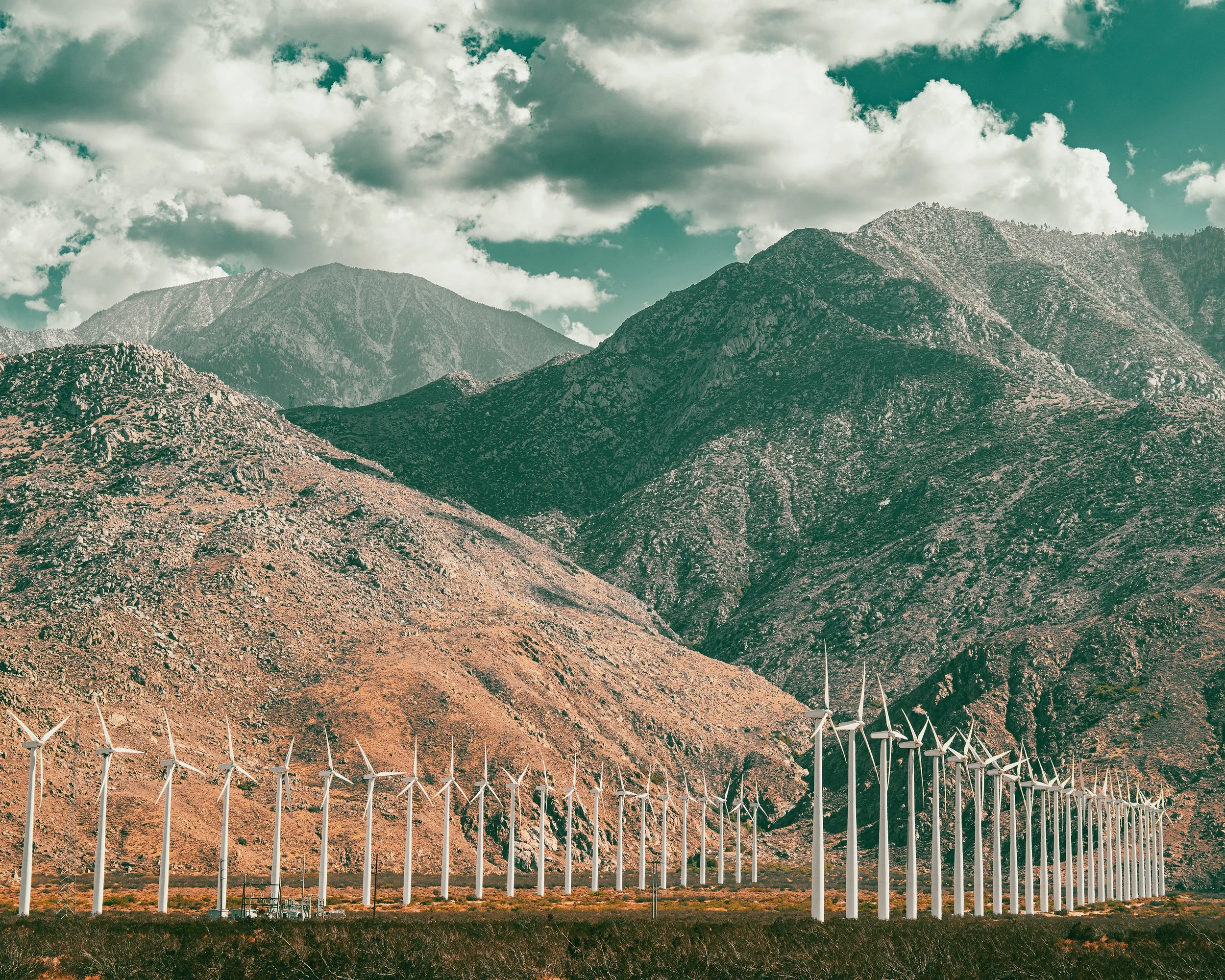 2025_9-14-25_JoshuaTree_20PS.jpg