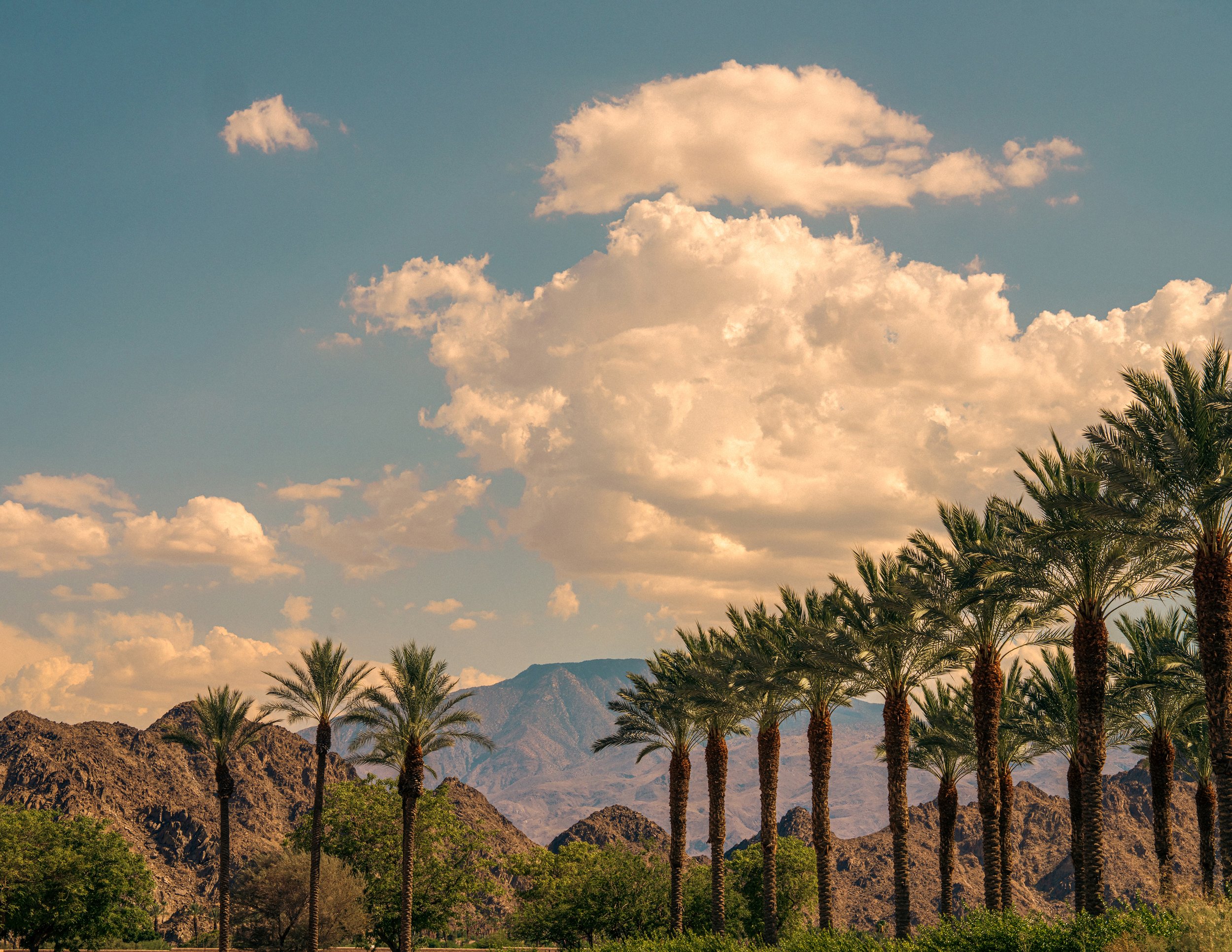 2026_PalmSpringsJune_24PS.jpg