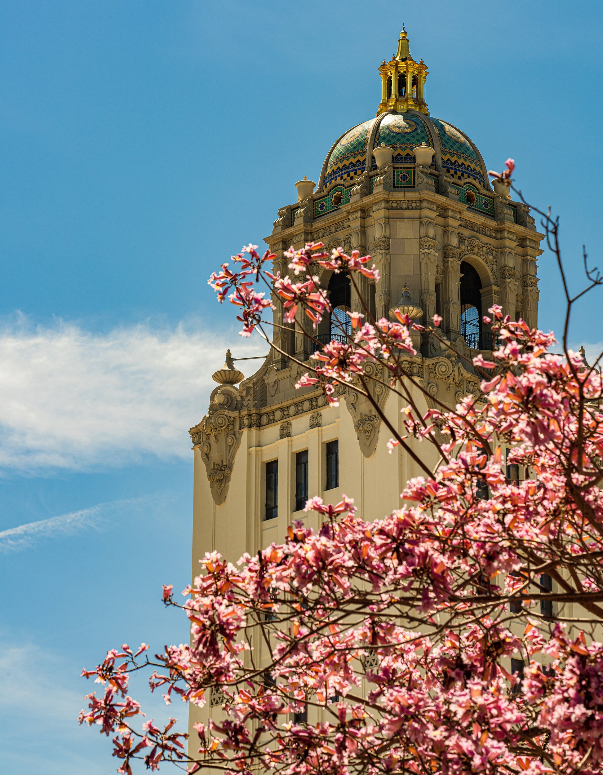 cityhallflowers2-04042.jpg