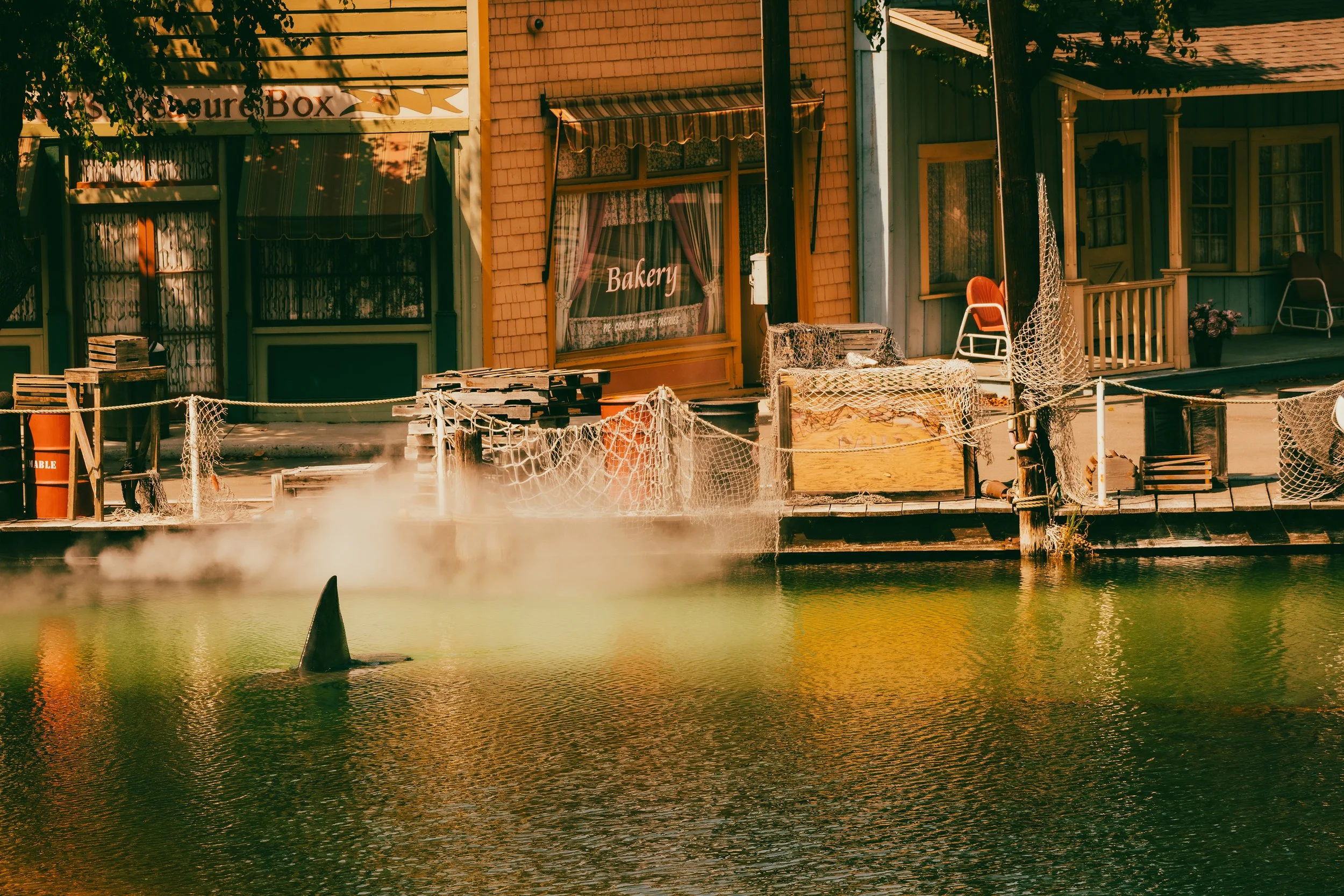 Jaws10-09414.jpg