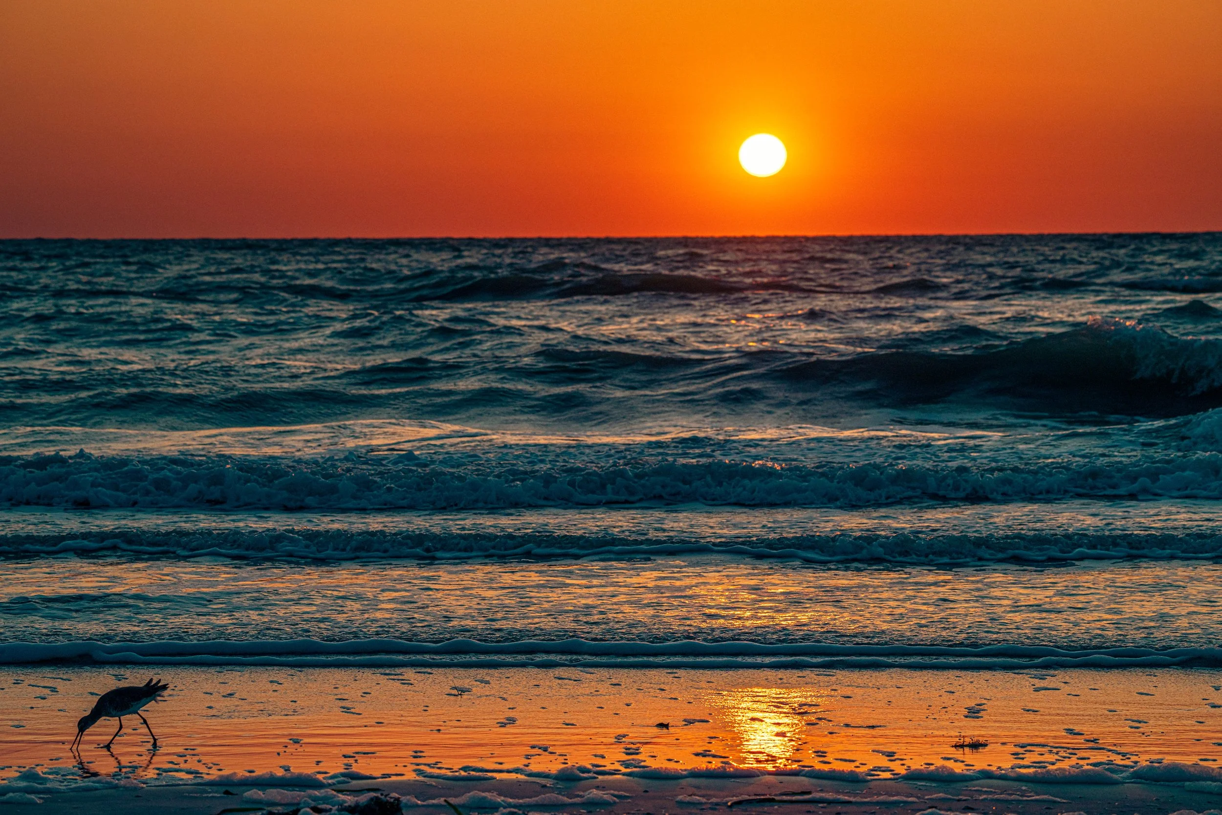 2025(2)Sunset2PS.jpg
