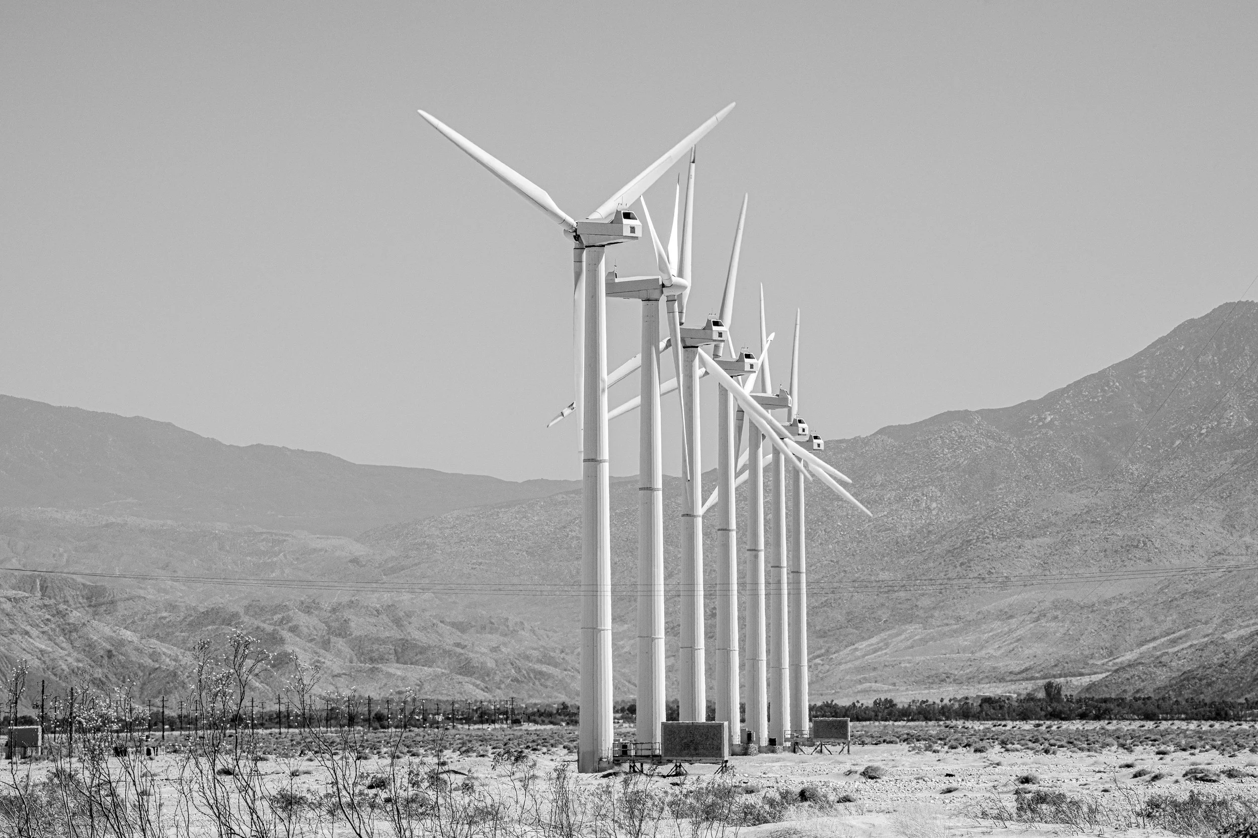 Palmsprings1B&WPS.jpg