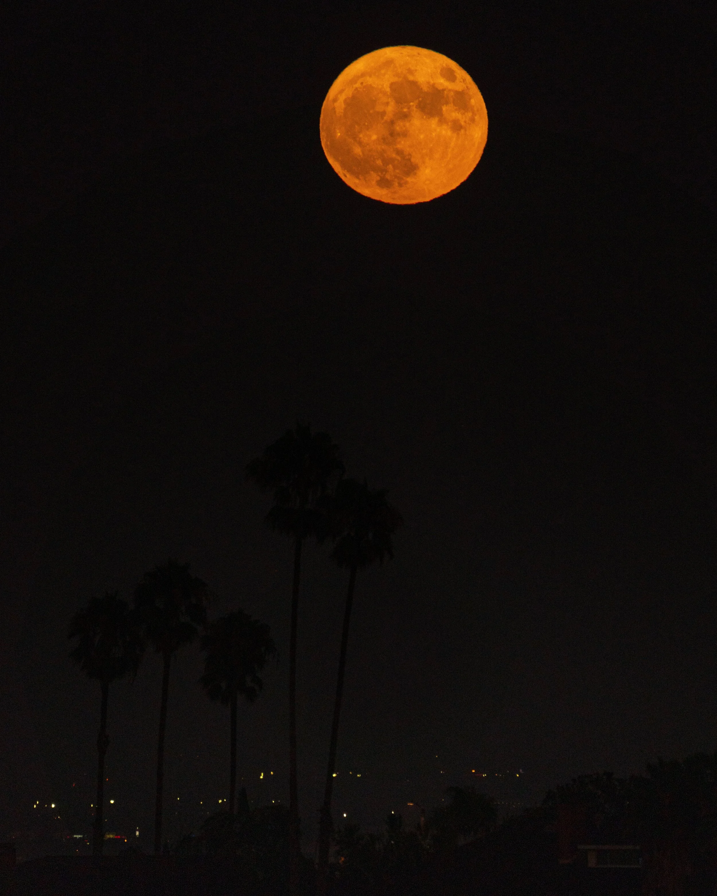 BlueMoon2.5PS.JPG
