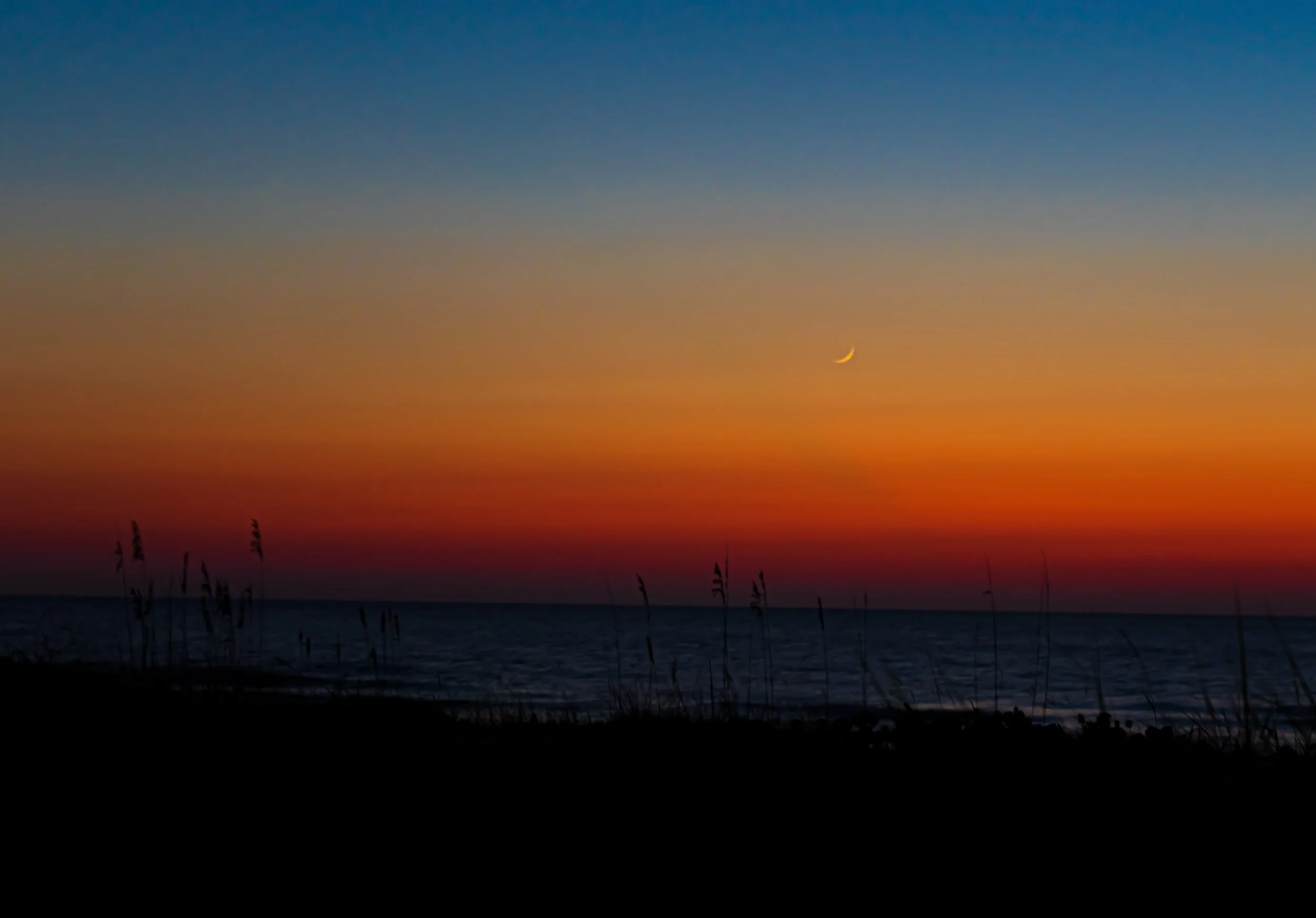 DSC04714.JPG