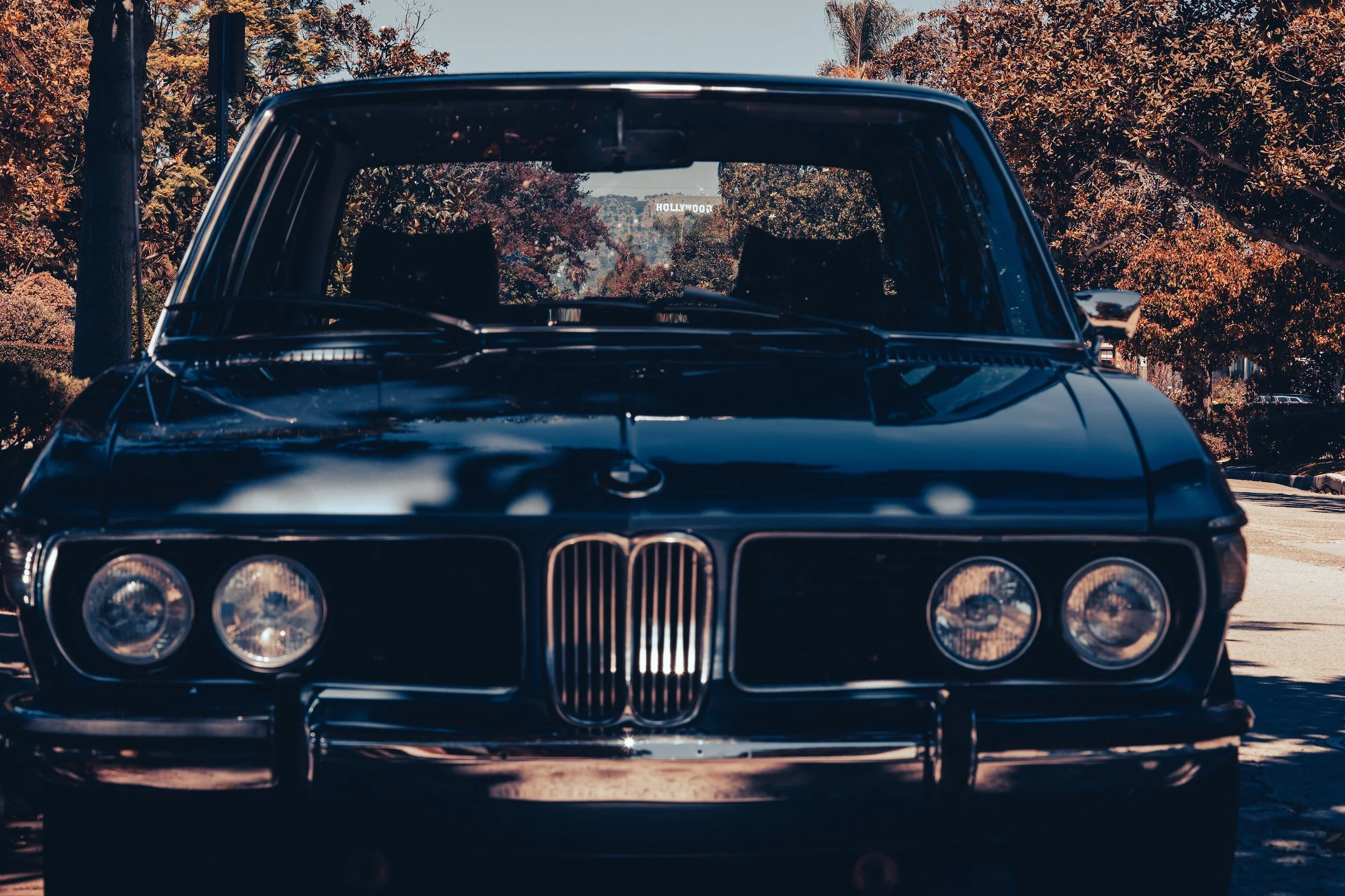 BMW1.jpg