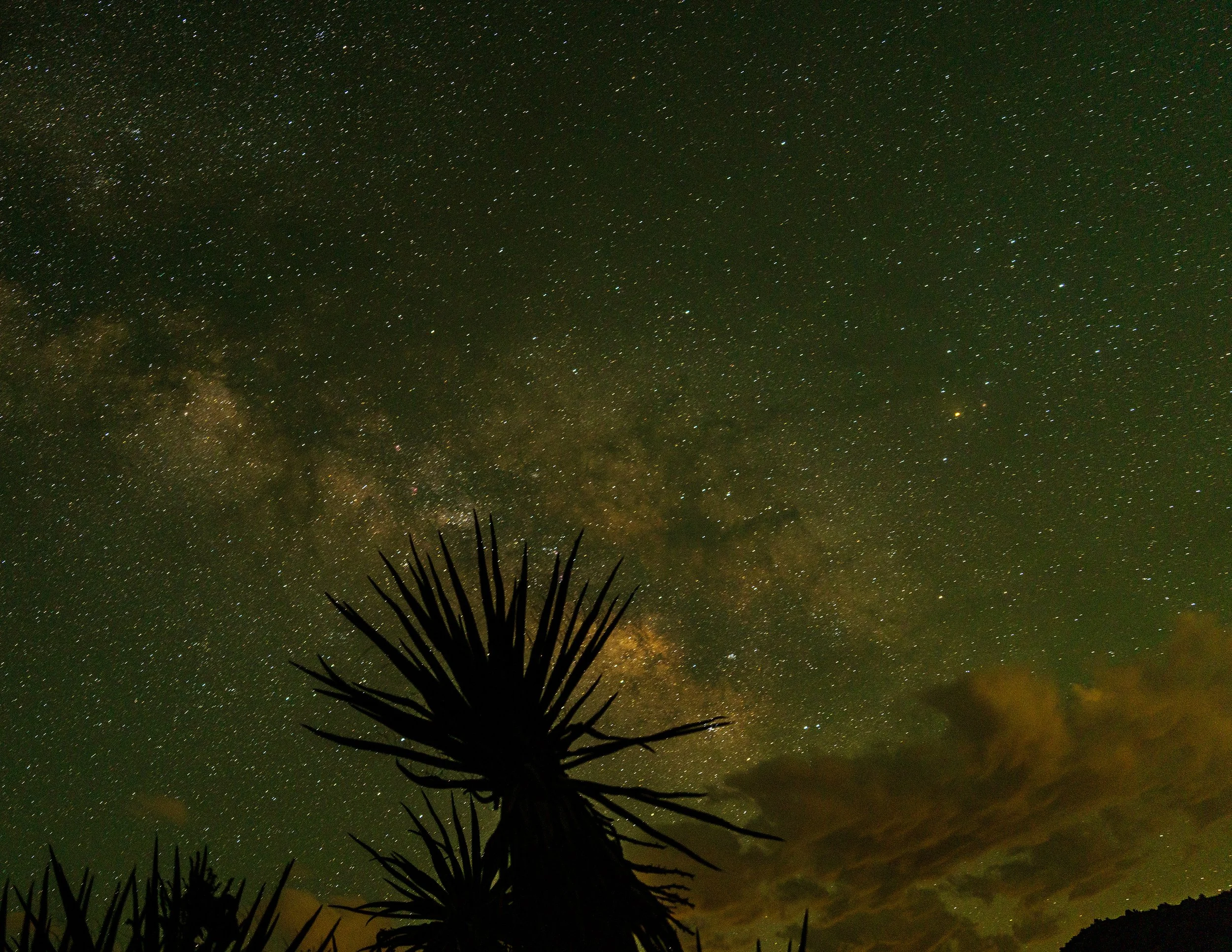 2026_JTMilkyWay_8PS.jpg