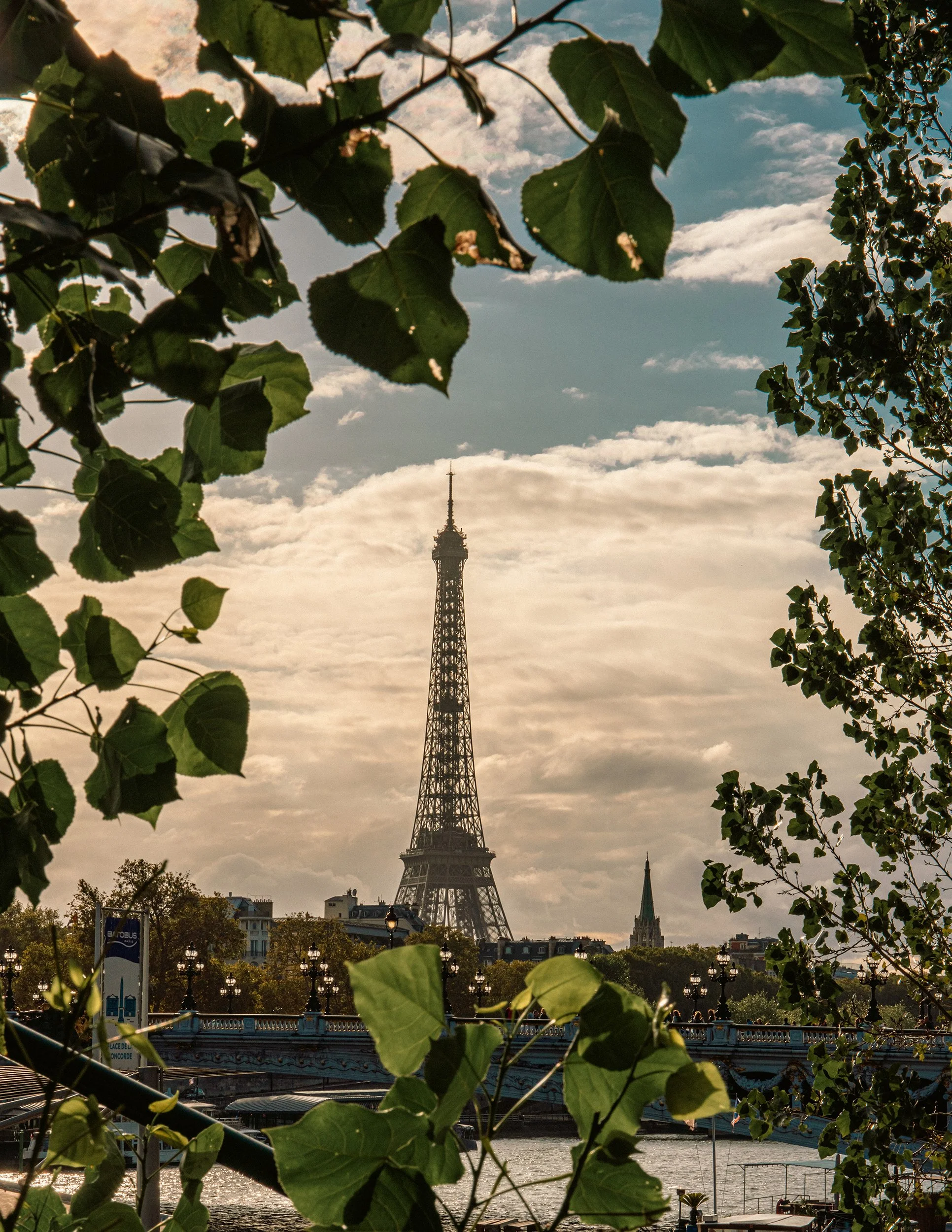 Paris-7.jpg