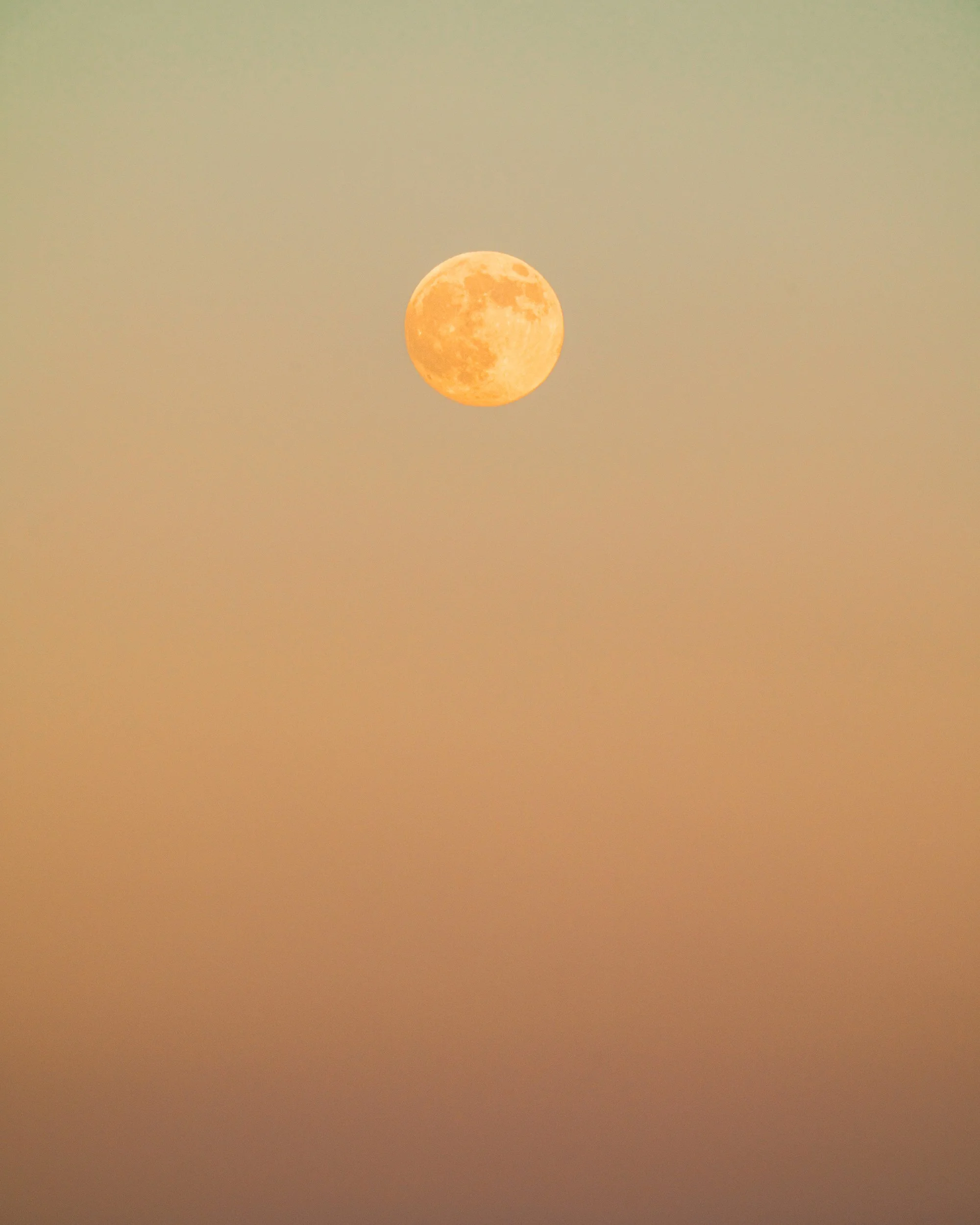 2025_BeaverMoon_3PSwebsite.jpg