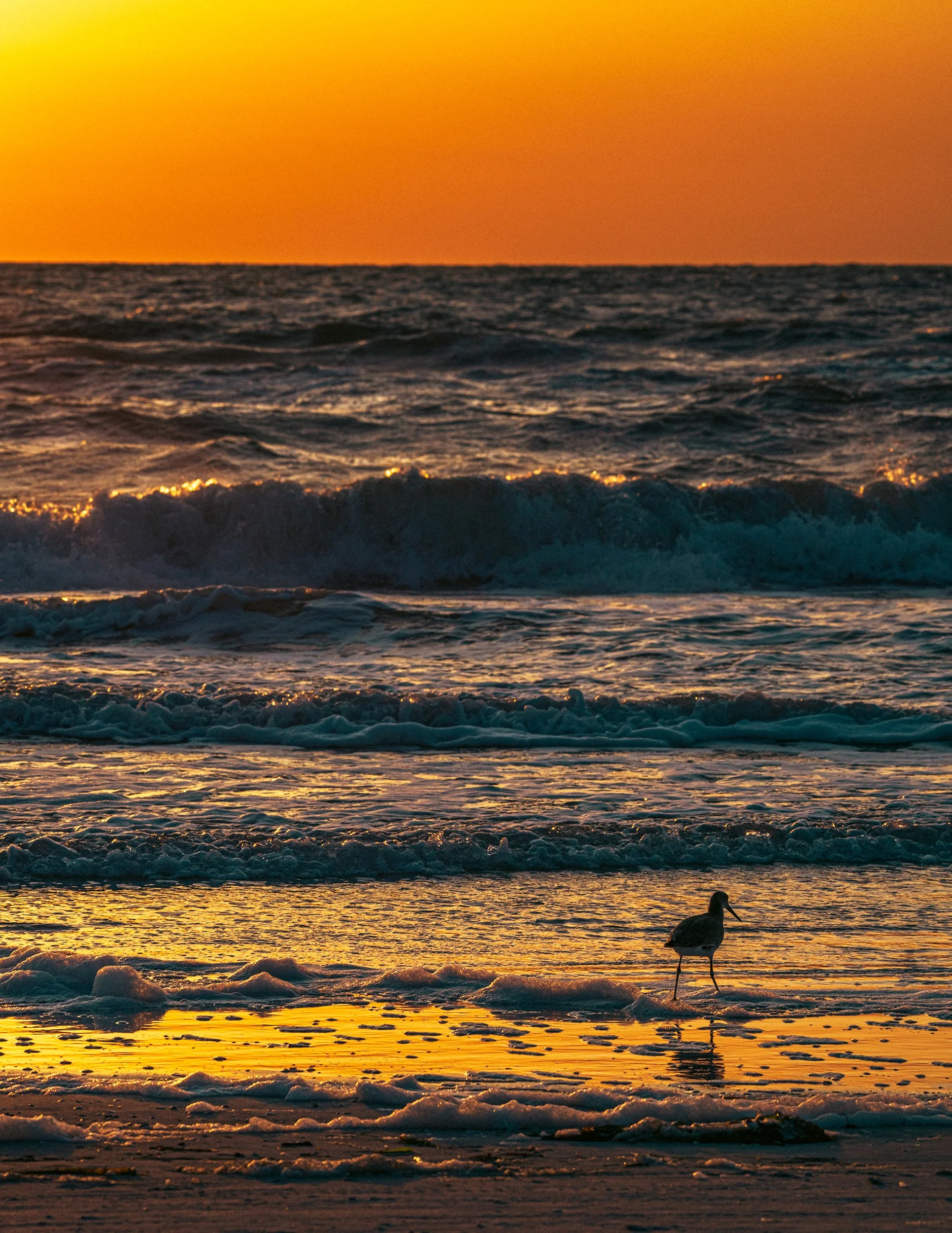 2025(2)Sunset6PS.jpg