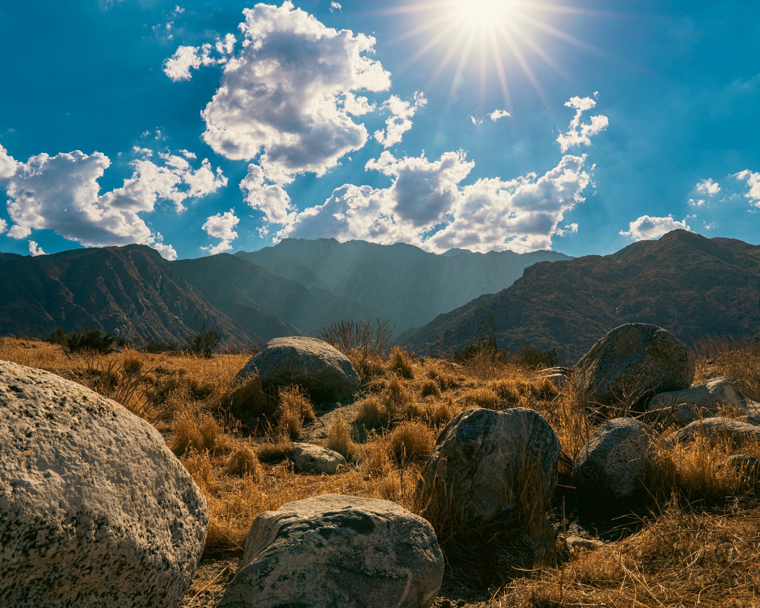 2025_9-14-25_JoshuaTree_16PS.jpg