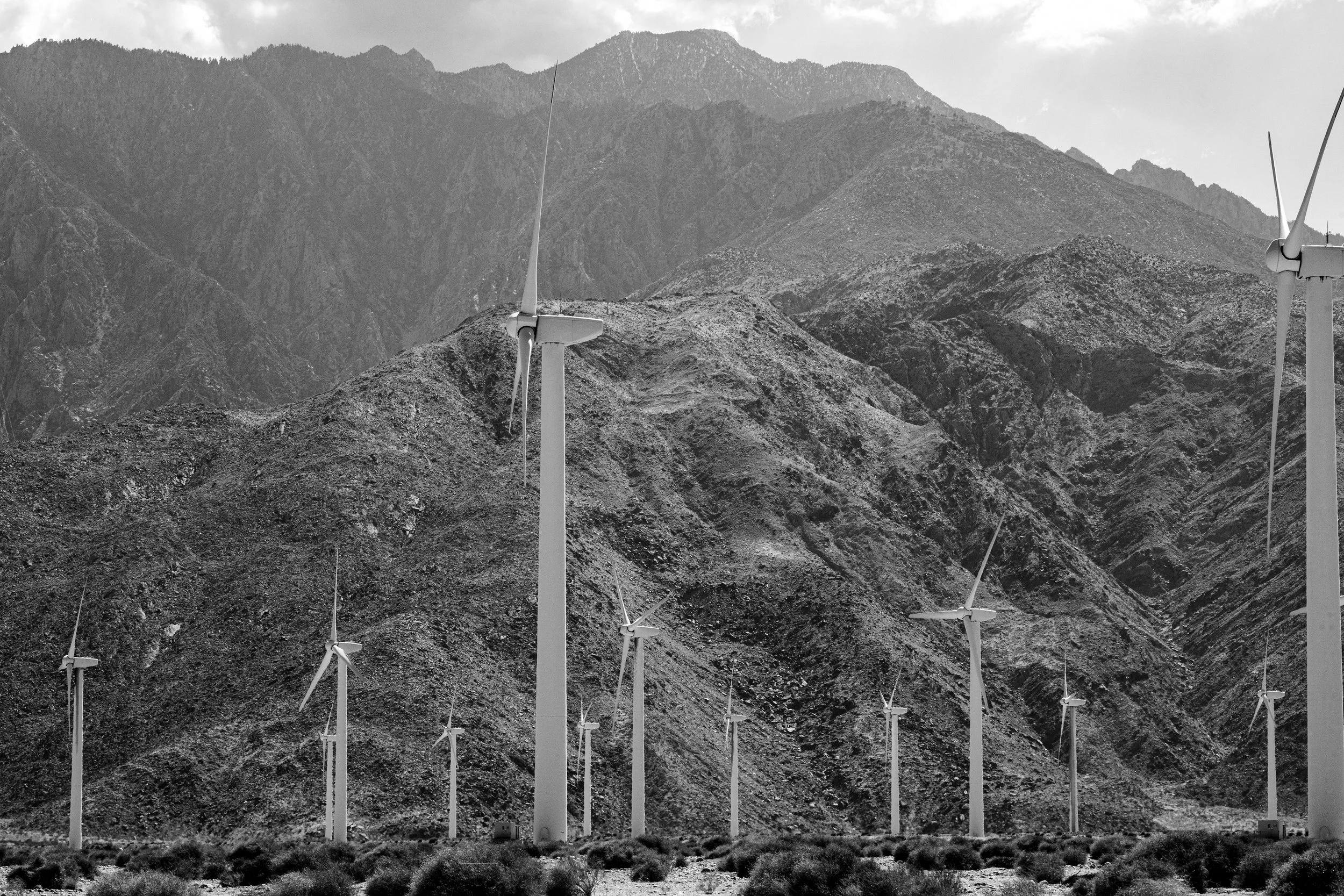 Palmsprings3B&WPS.jpg