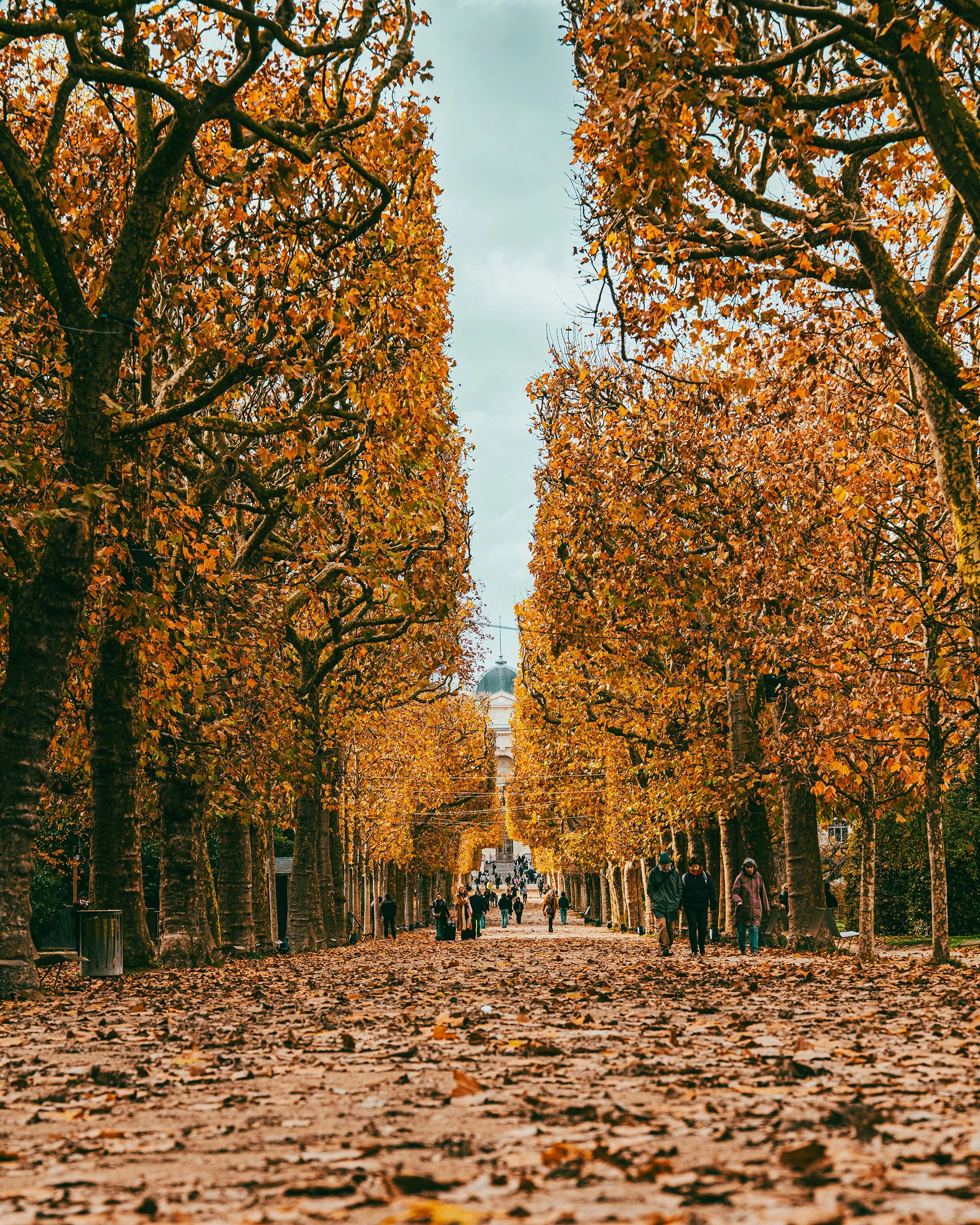 2025_Paris_46PS.jpg