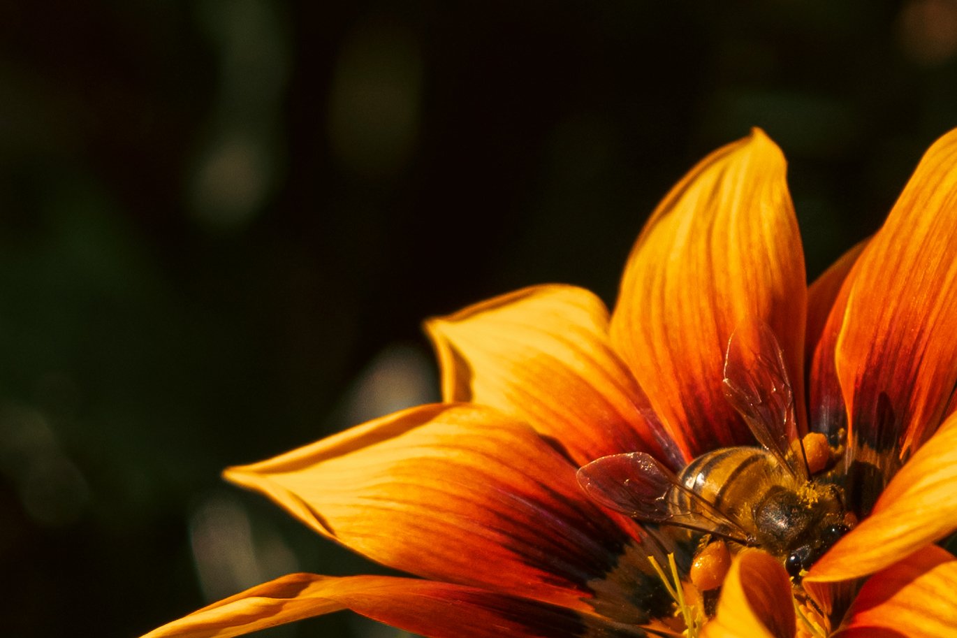 PSbusybee.JPG