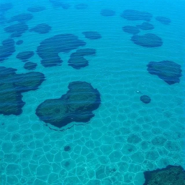 Ocean