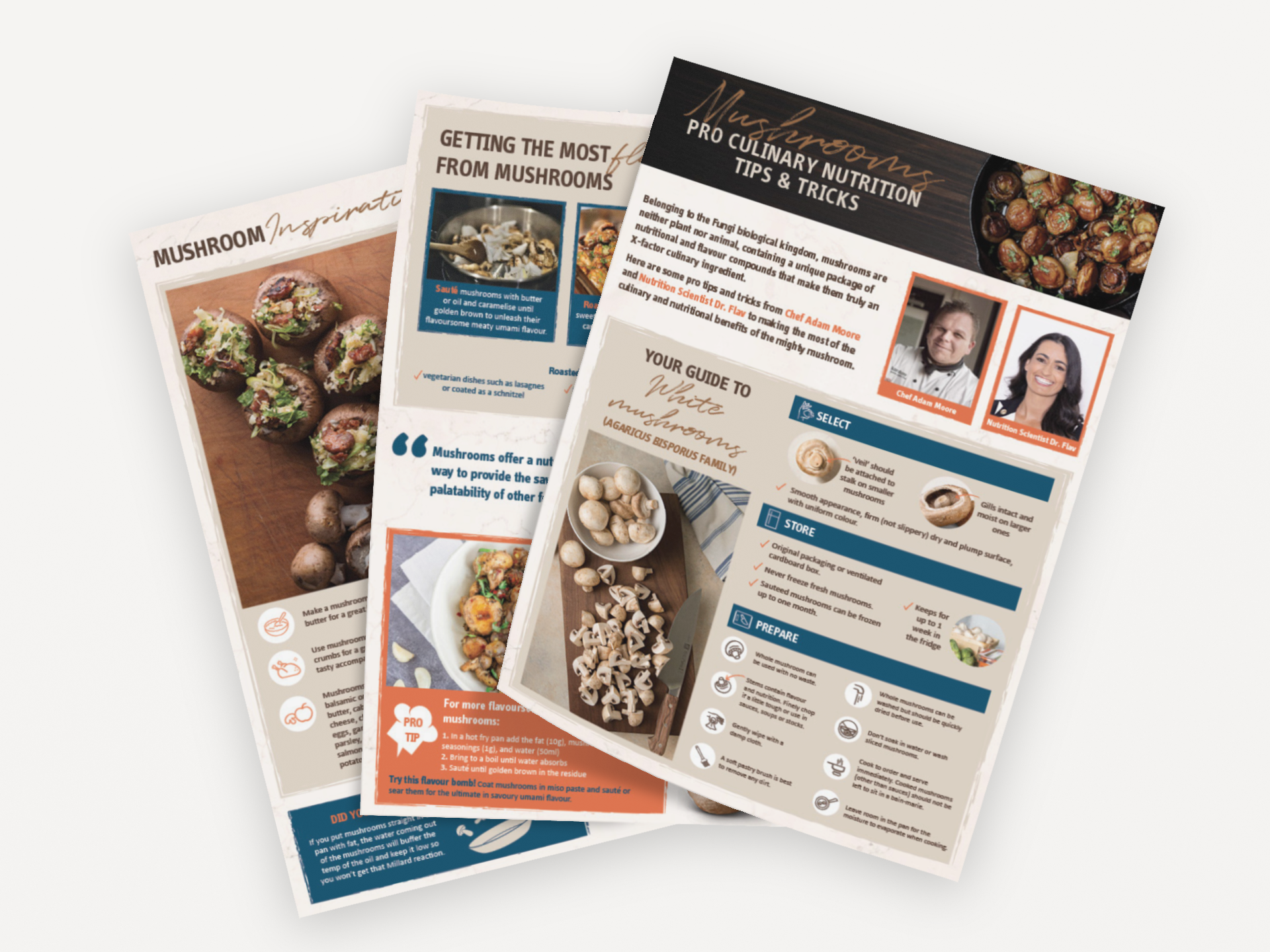 Mushroom brochures 2.png