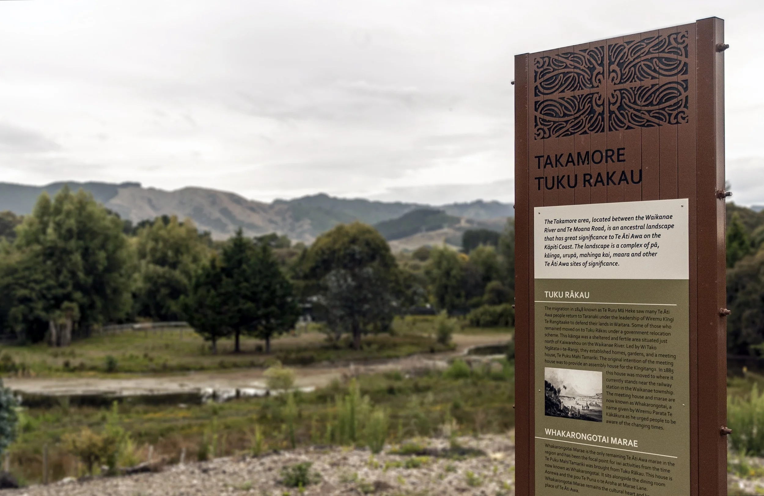 Signage + Packaging