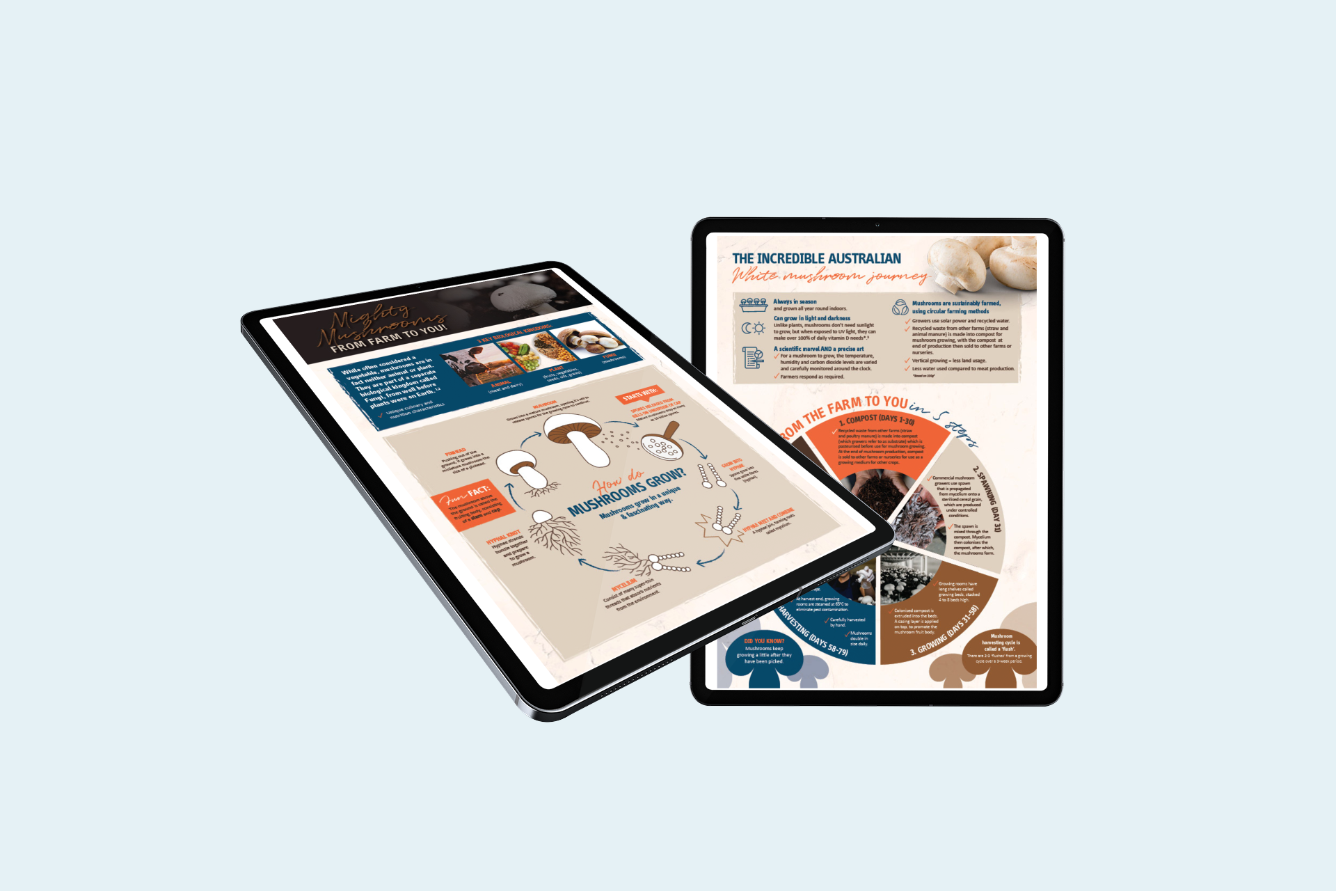 mockup-of-two-ipad-pro-with-an-abstract-background-797-el-8.png