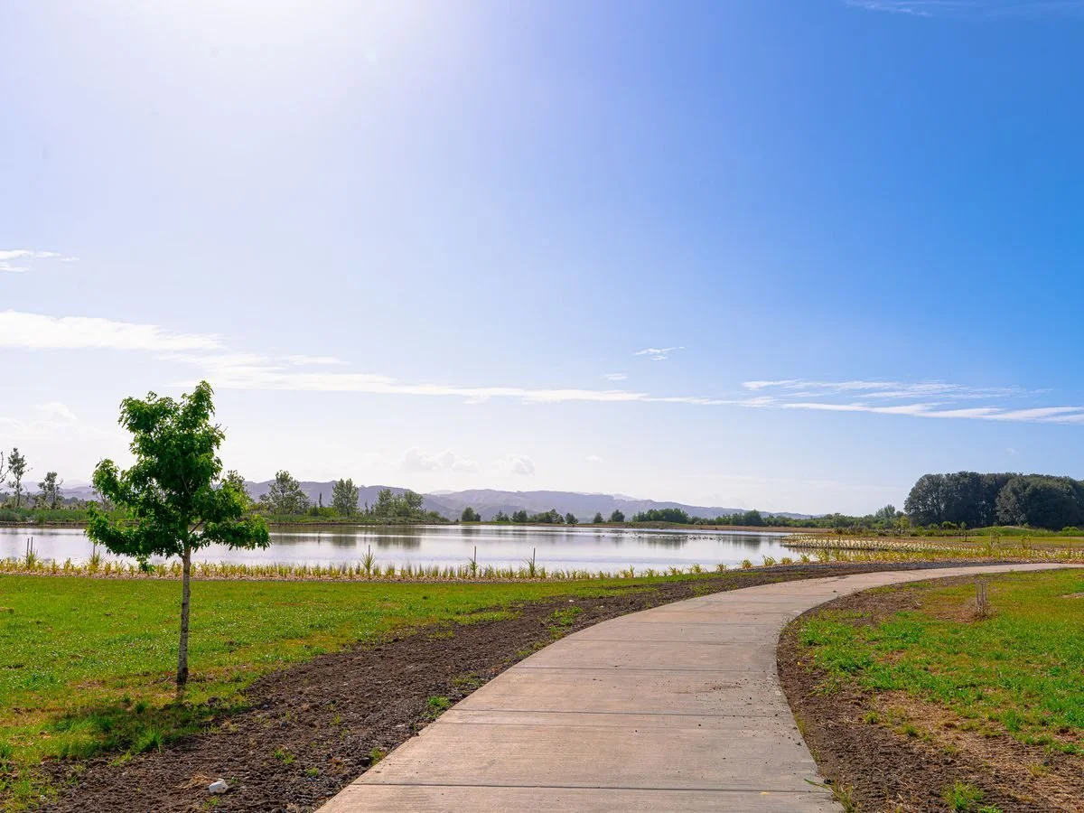 A winding concrete path beside a grassy area with a young tree, leading towards a lake with a calm surface reflecting the sky, in a park with trees and distant hills under a blue sky with some clouds.