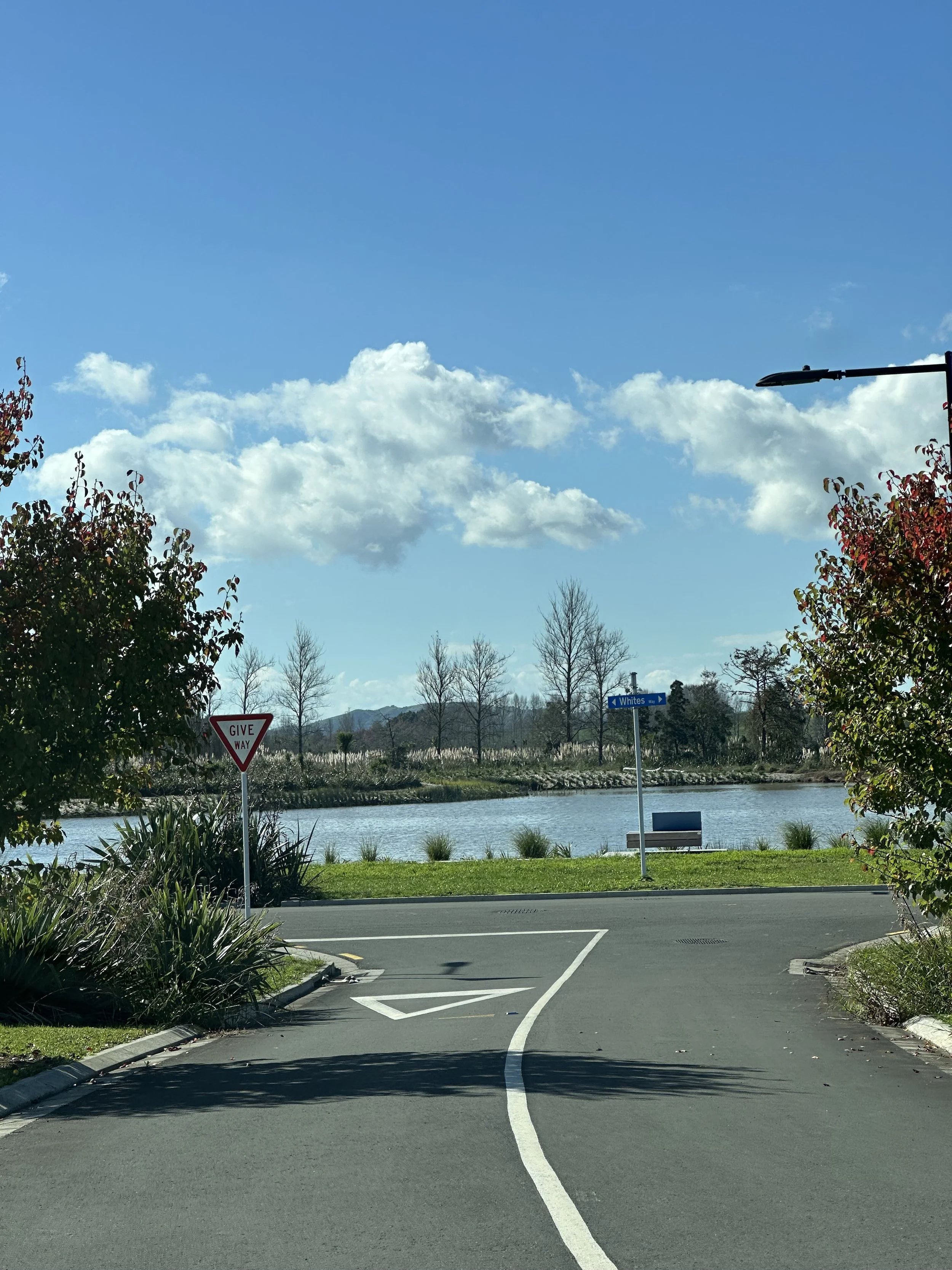 A scenic view of a curved road near a body of water with trees and mountains in the background, under a bright blue sky with some clouds. Street signs are visible, including a 'Give Way' sign and a blue directional sign.