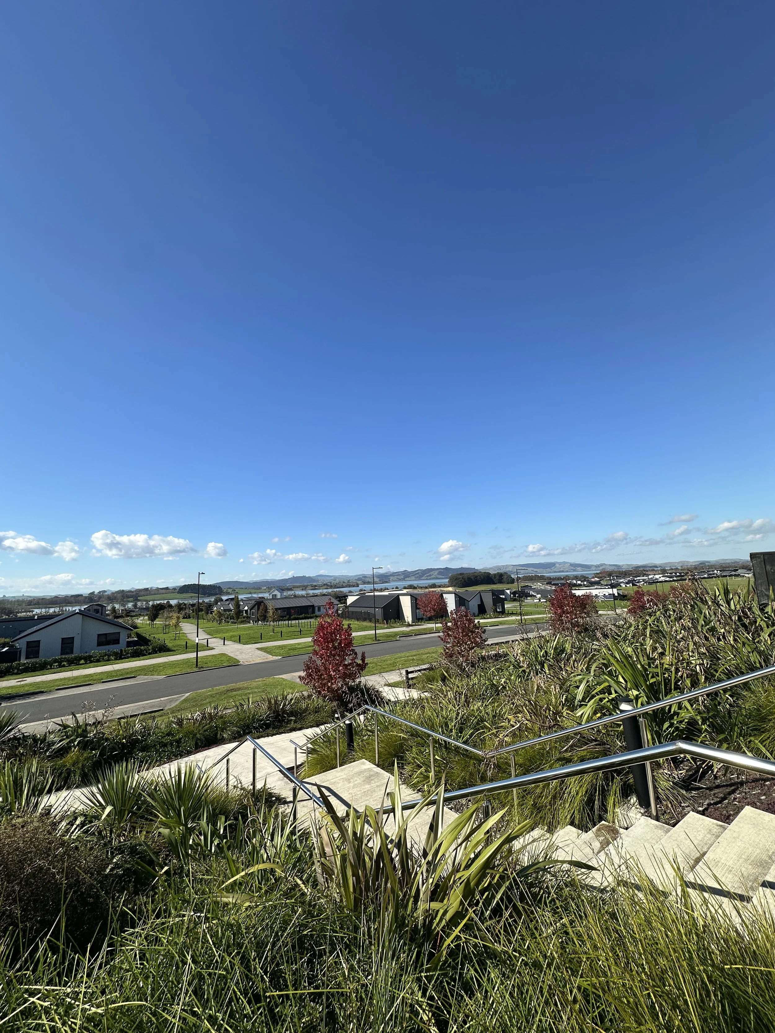 A sunny day at a suburban neighborhood with houses, trees, and a clear blue sky.