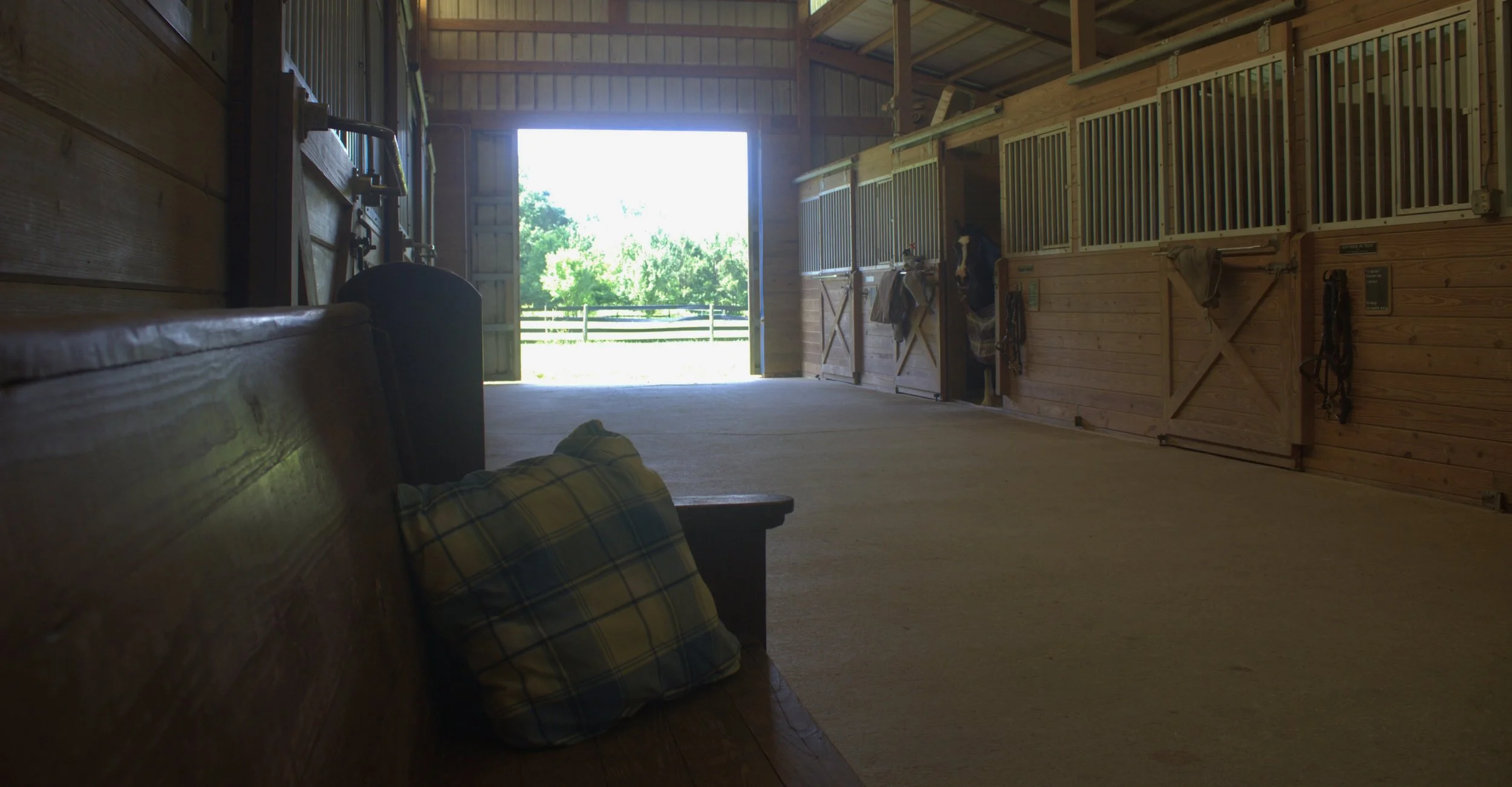 Farm Aisle with Horse stalls, Show Pony, Lush Pasture barn near Alpharetta, Milton, and Canton