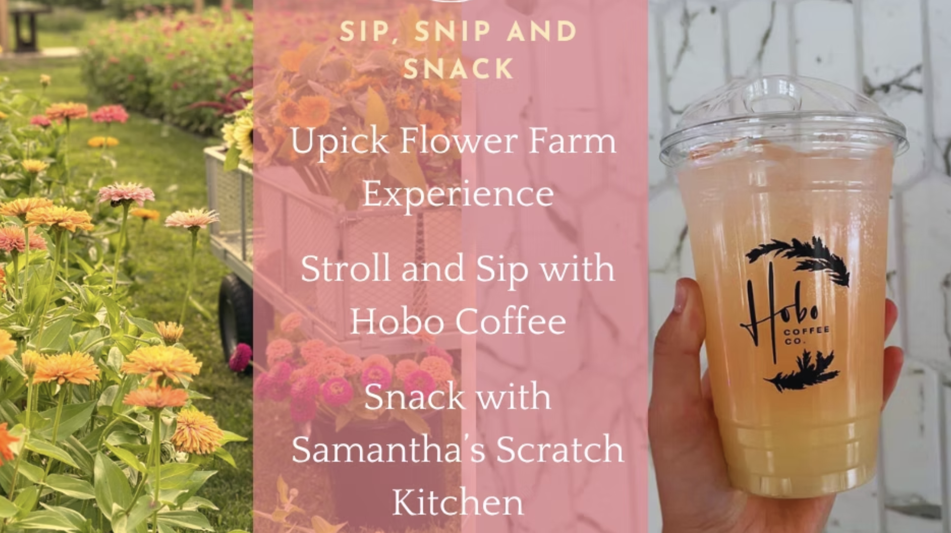 Barefoot Blossom Farm | Sip, Snip and Snack