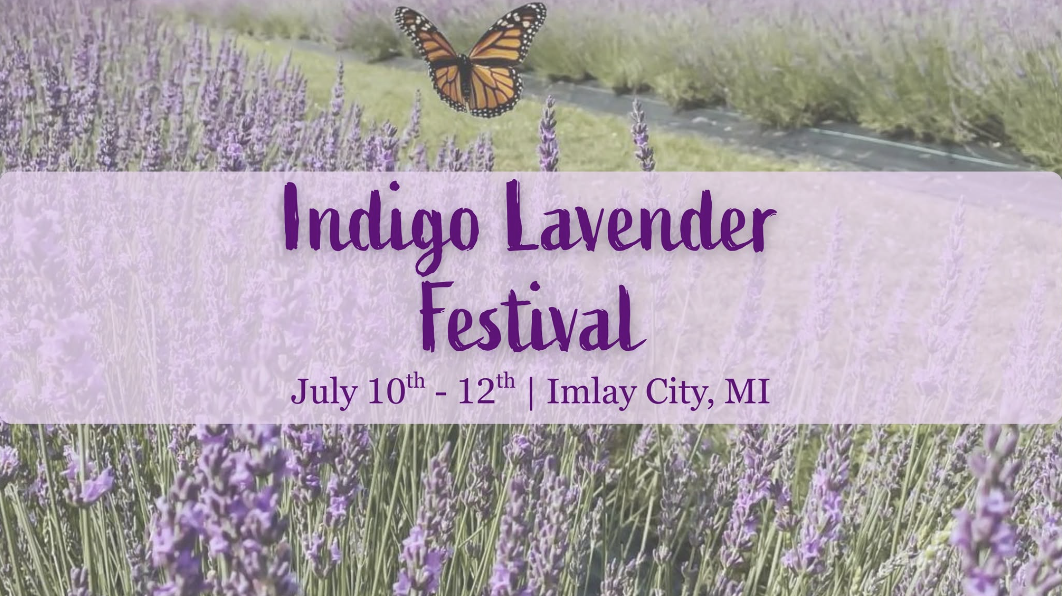 Indigo Lavender Farm | Lavender Festival