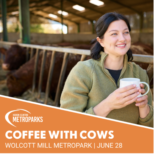 Huron-Clinton Metropark | Coffee with Cows