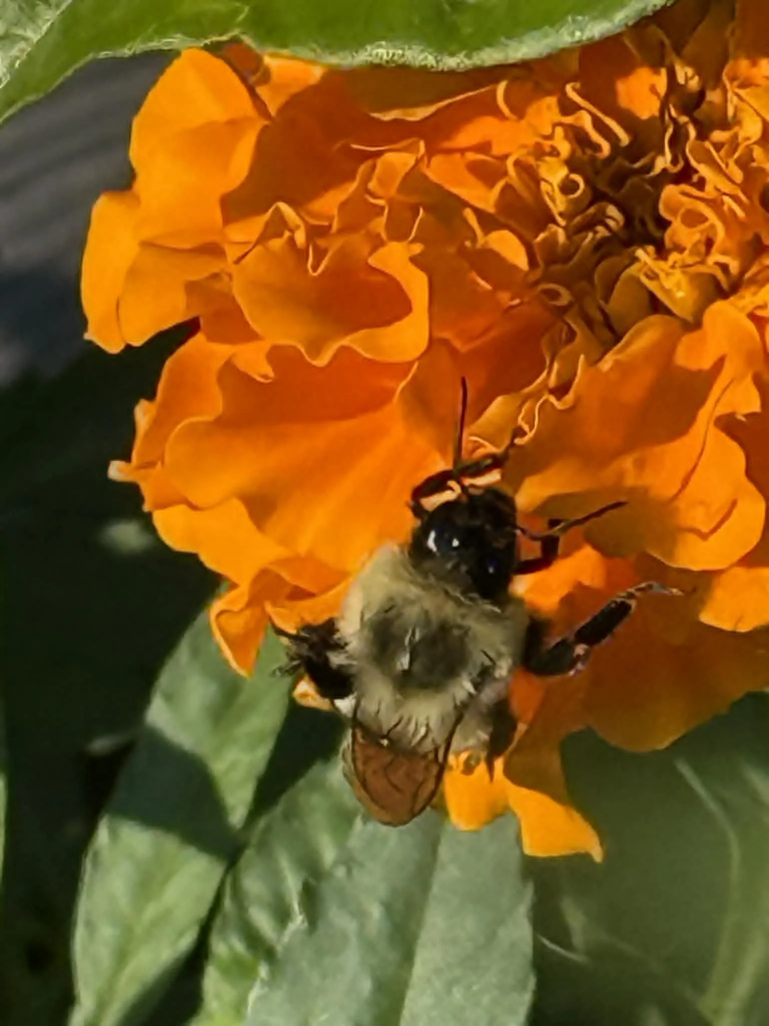 90520279-bc78-460c-a1d6-d8a3ec18be1e.jpeg