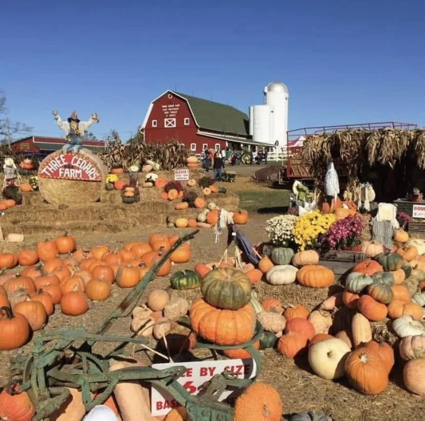 Three Cedars Farm | Opening Day