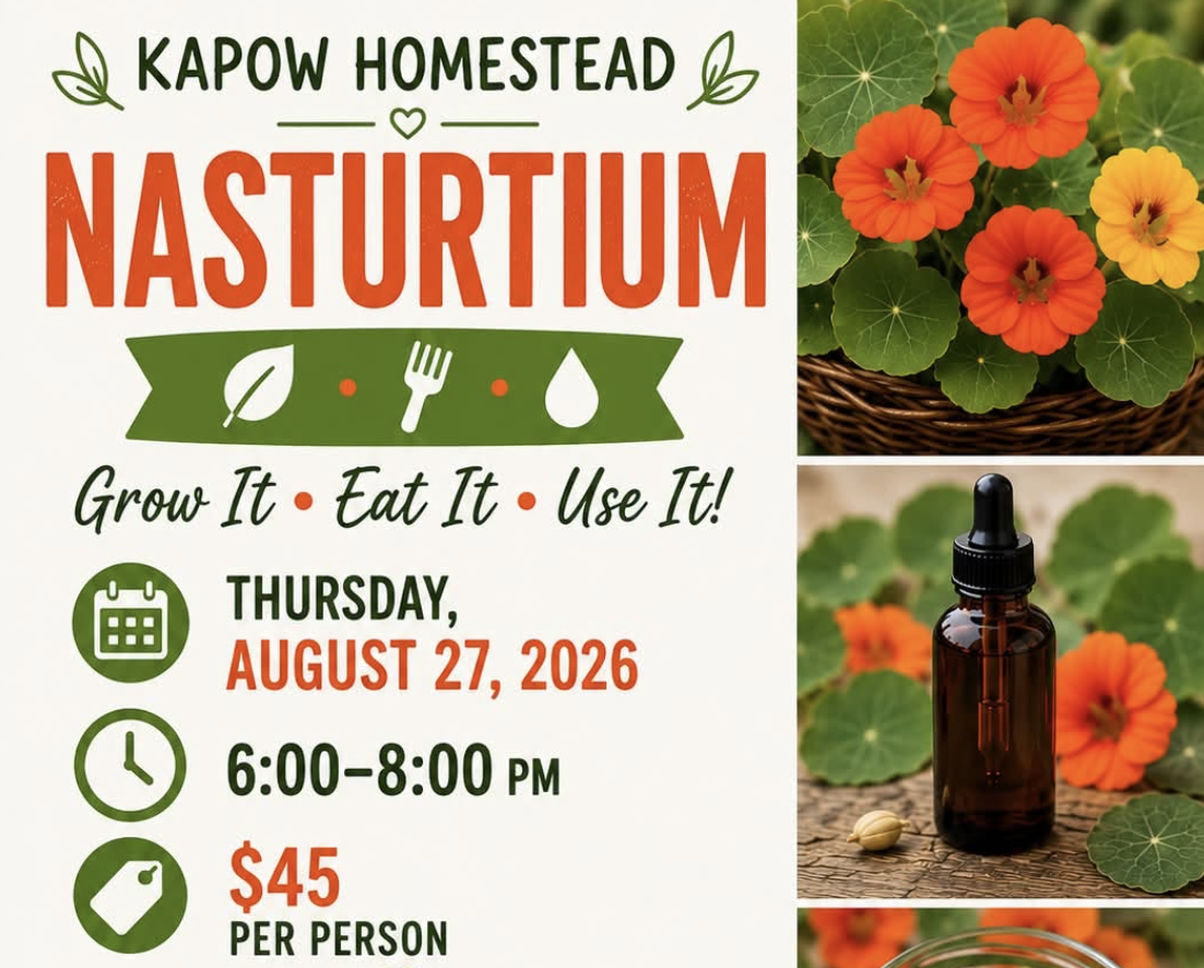 Kapow Homestead | Nasturtium Workshop