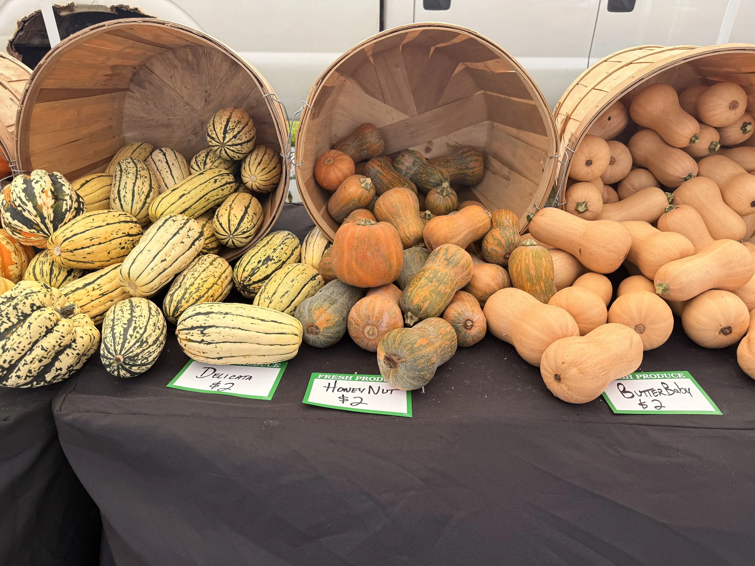 A Friendly Guide to Fall Squash