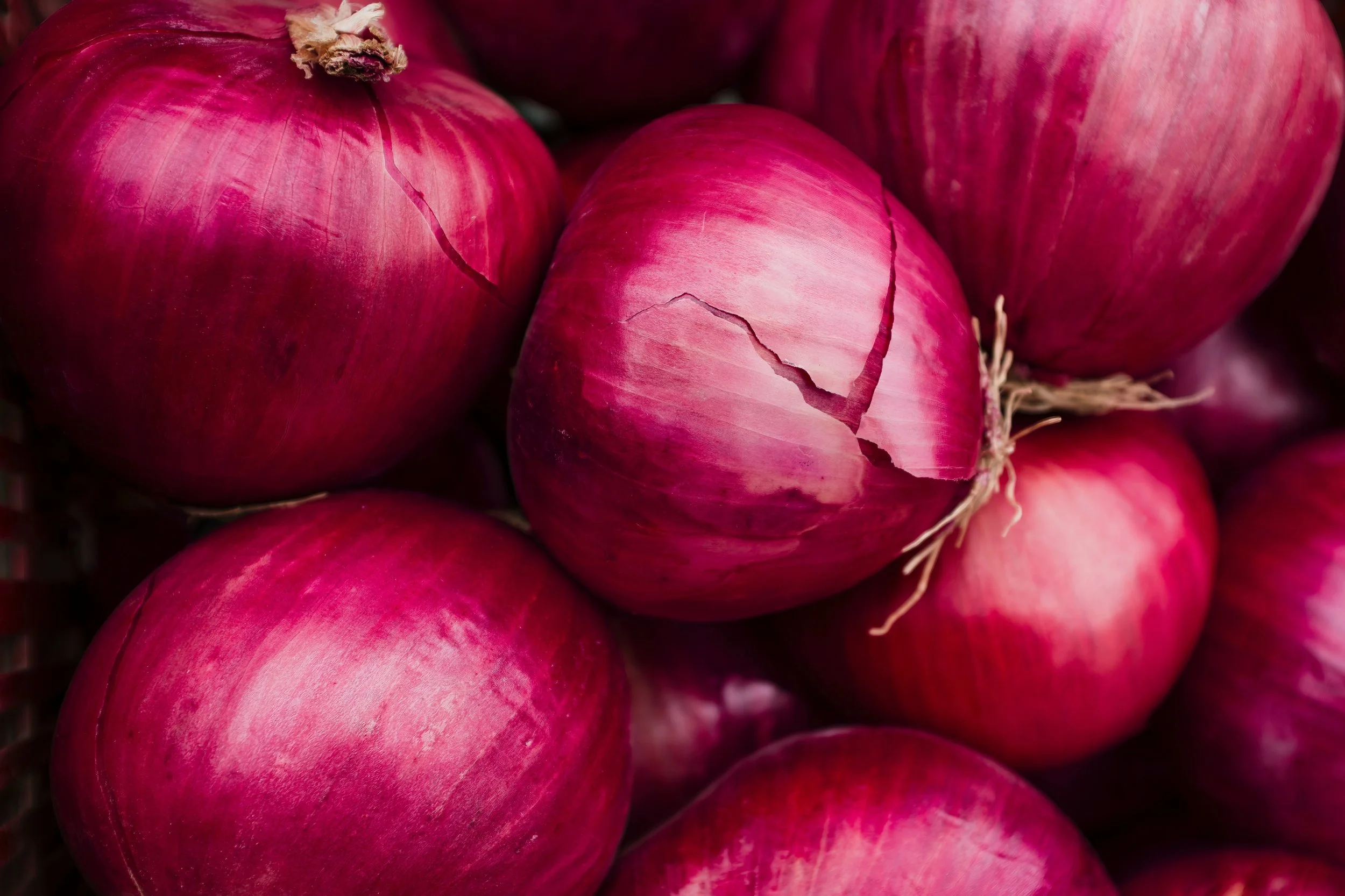 Preserving the Bounty | Onions