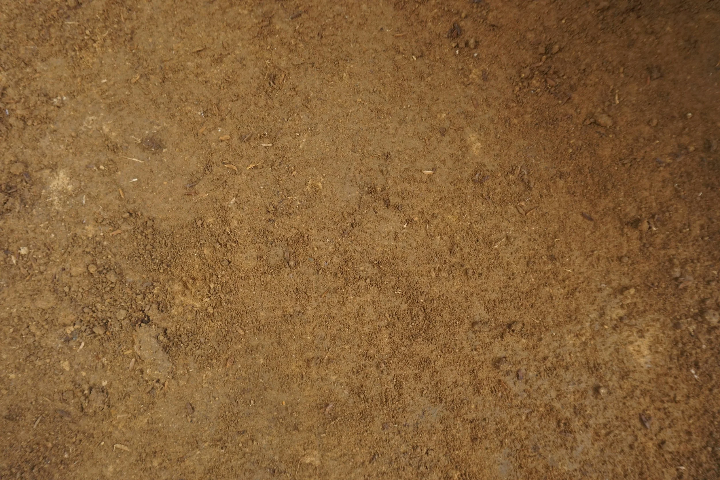 Close-up of brown dirt or soil surface with small rocks and particles.
