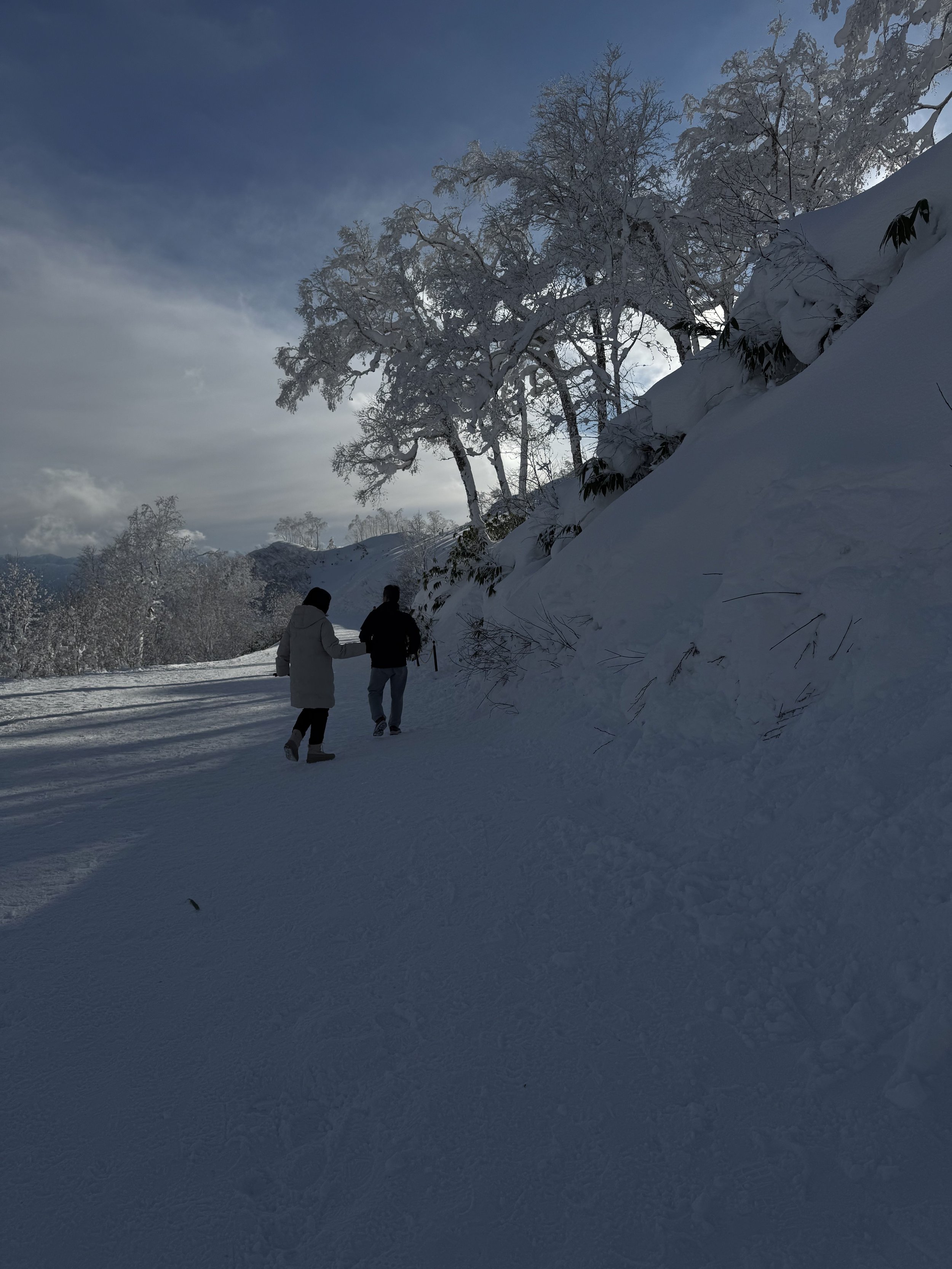 Two people walking on a snow-covered path beside a hill with snow-laden trees under a cloudy sky.