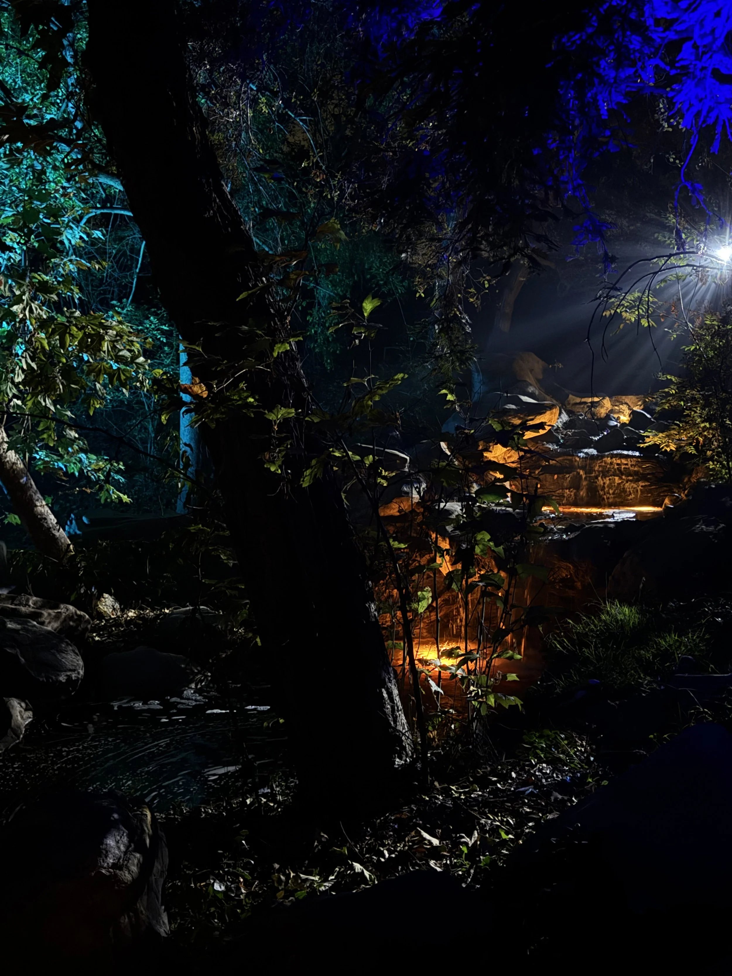 Nighttime scene in a wooded area with a small stream, illuminated by a bright artificial light source casting blue, green, and orange hues on the trees, rocks, and water.