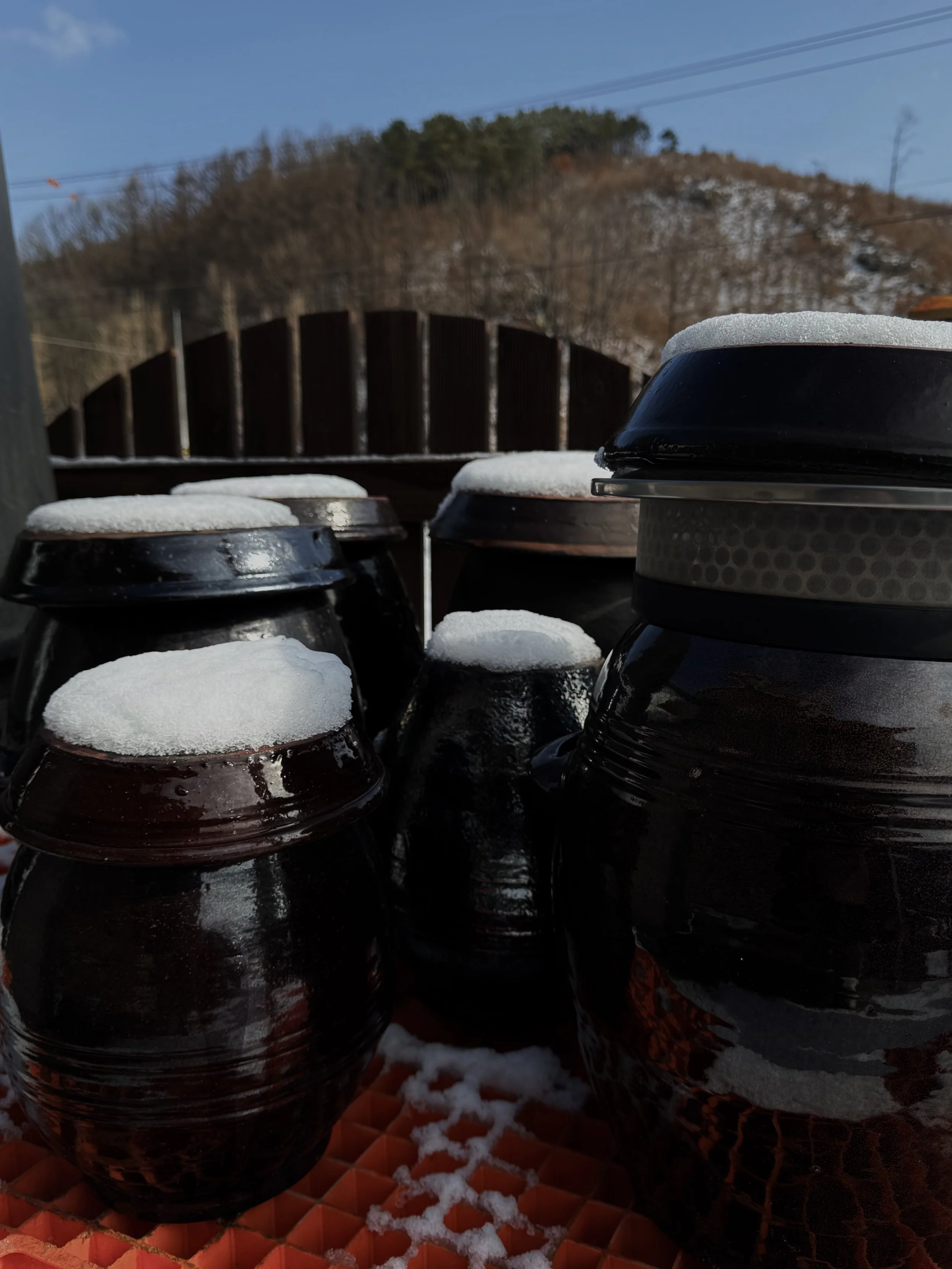 Multiple black compost bins with white snow on top, outdoor setting with a hill and a tunnel in the background, blue sky, snow on the ground, and wooden pallets underneath the bins.