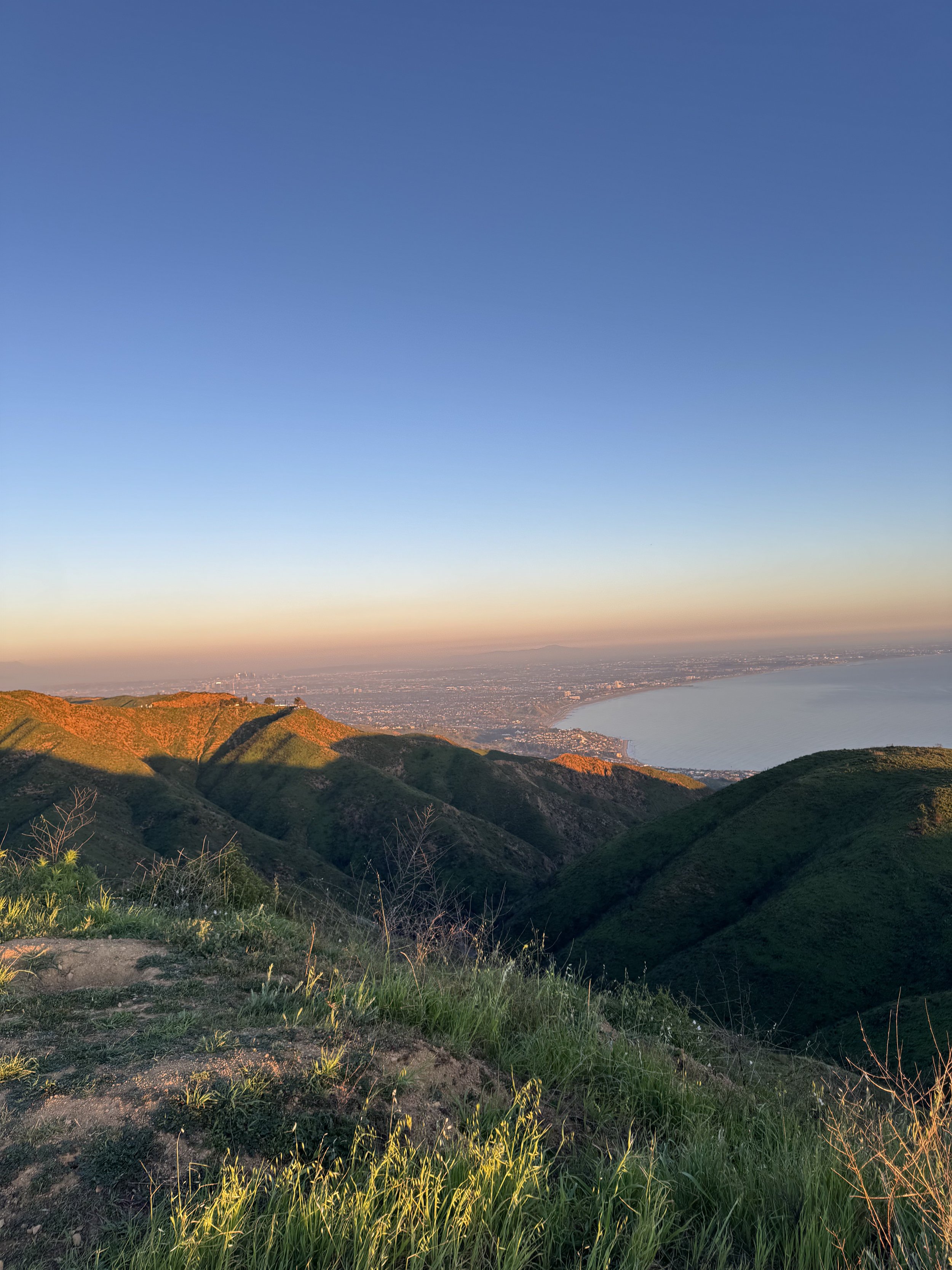 A scenic view of a coastal city from atop green hills at sunset, with a large body of water and distant cityscape under a gradient sky.