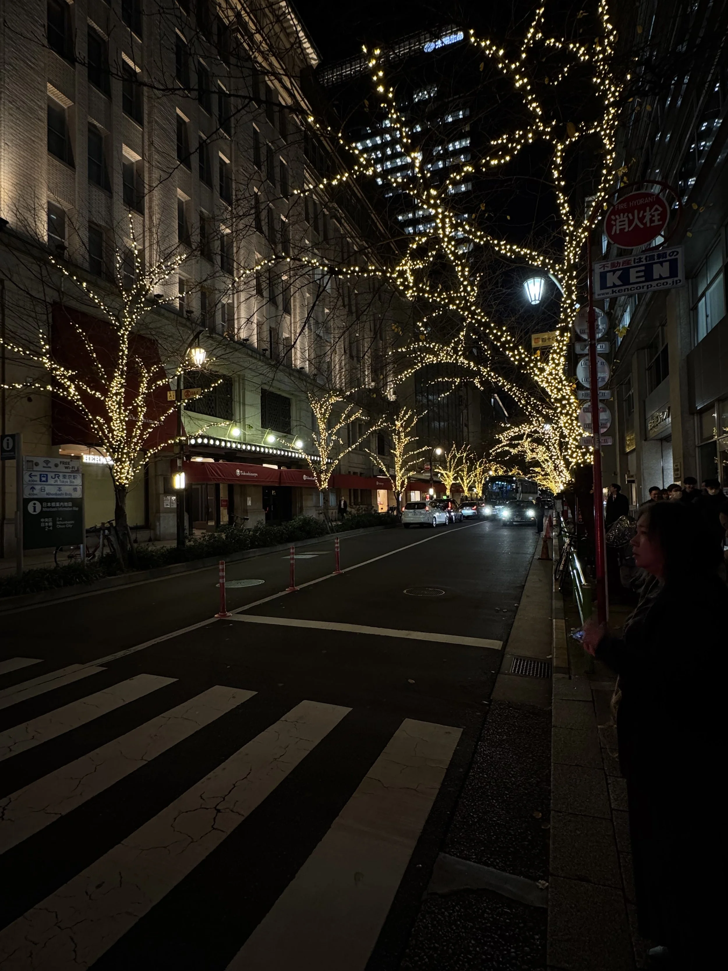 Night scene of a city street decorated with strings of white Christmas lights wrapped around the trunks and branches of trees lining the sidewalk. There are some pedestrians, cars on the road, street lamps, and visible signs on the buildings.