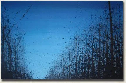 untitled 

acrylic on canvas 
31"x48"