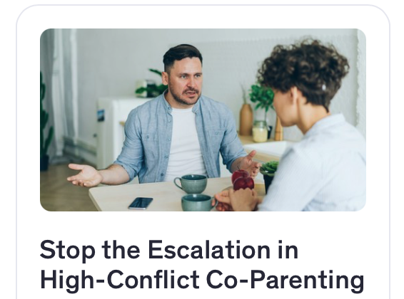 High Conflict Coparenting 