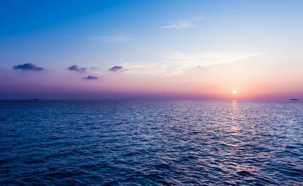 Australia is in a "SEA" of new Employment Services Programs
