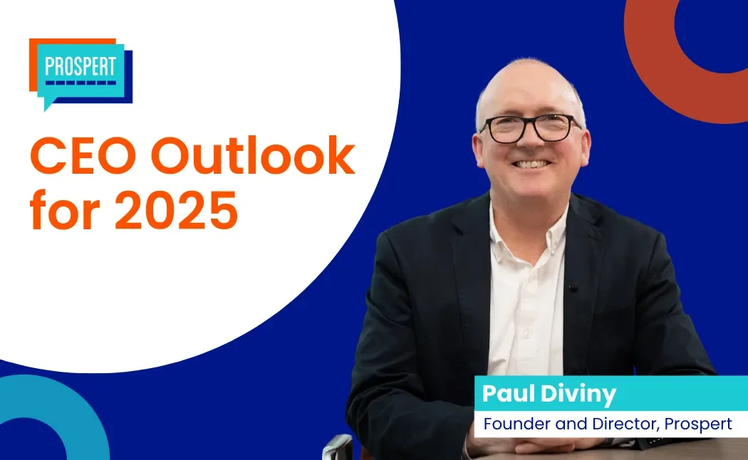CEO Outlook for 2025