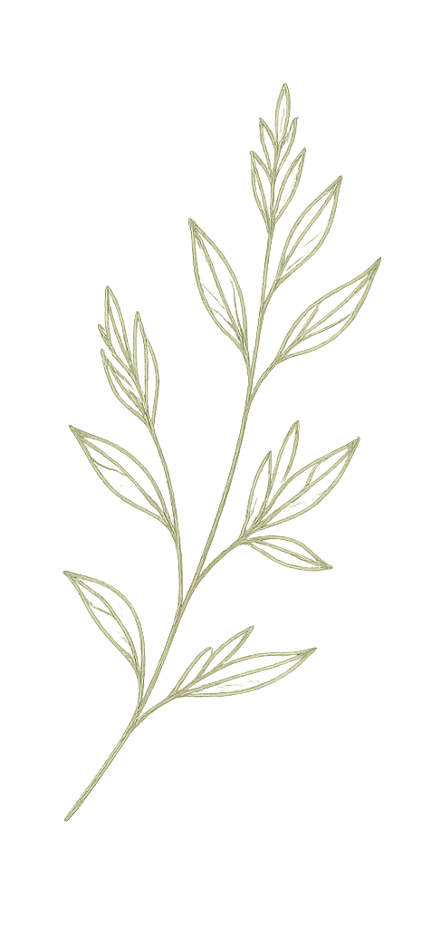Branch Image